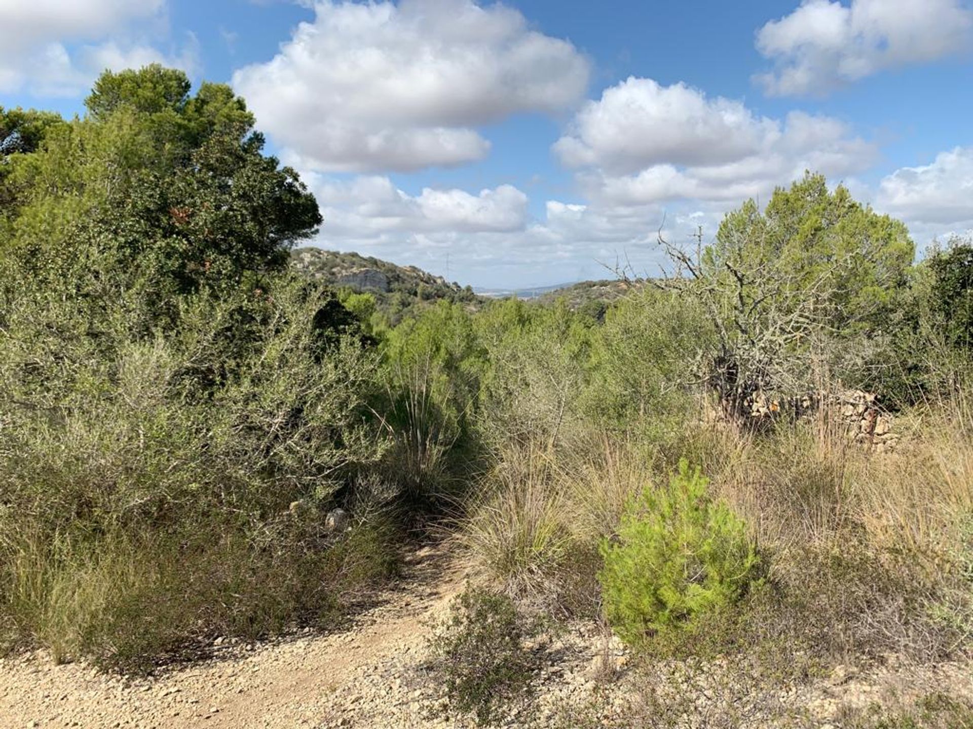 Land in , Illes Balears 11064778