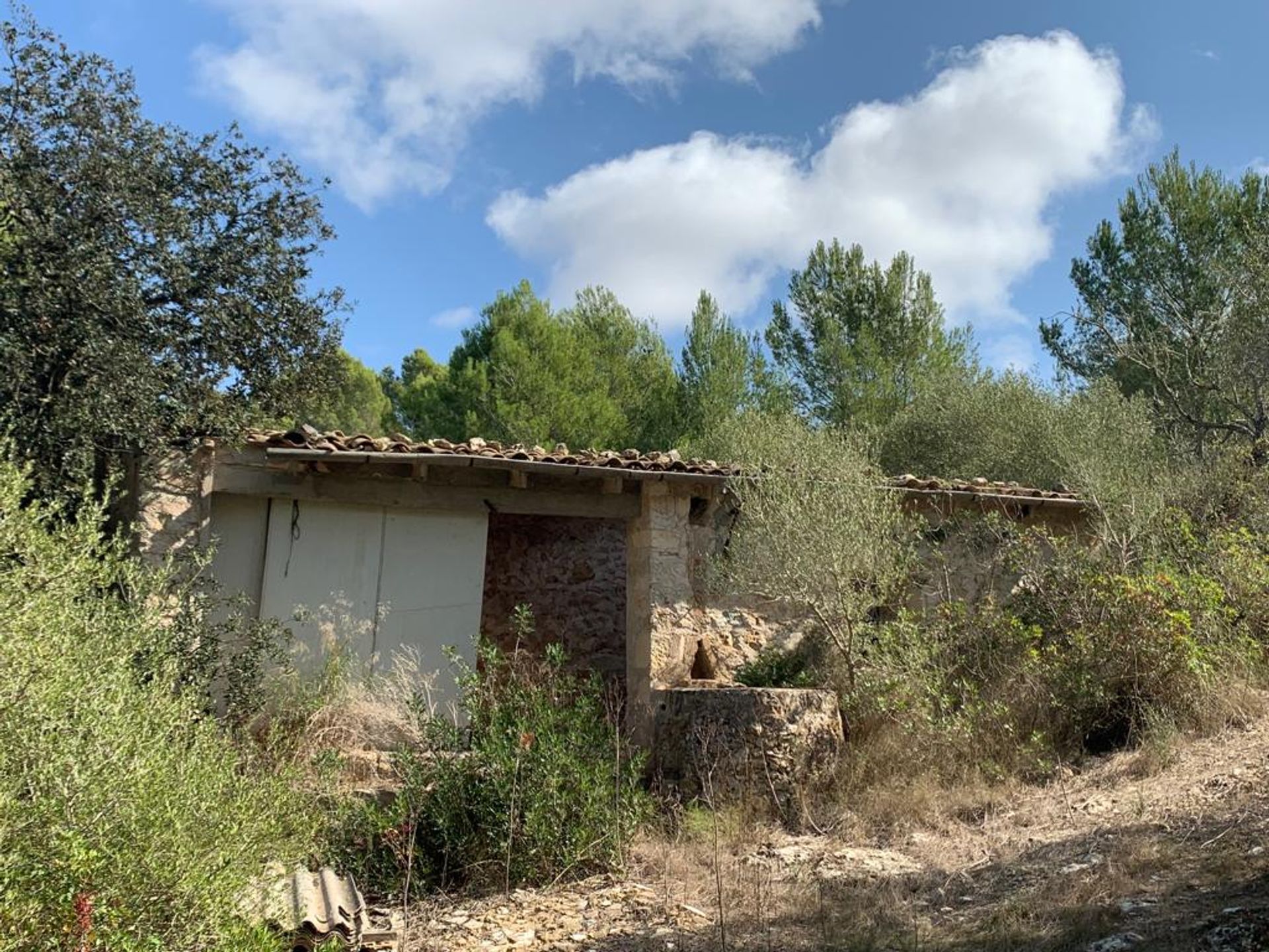 Land in , Illes Balears 11064778