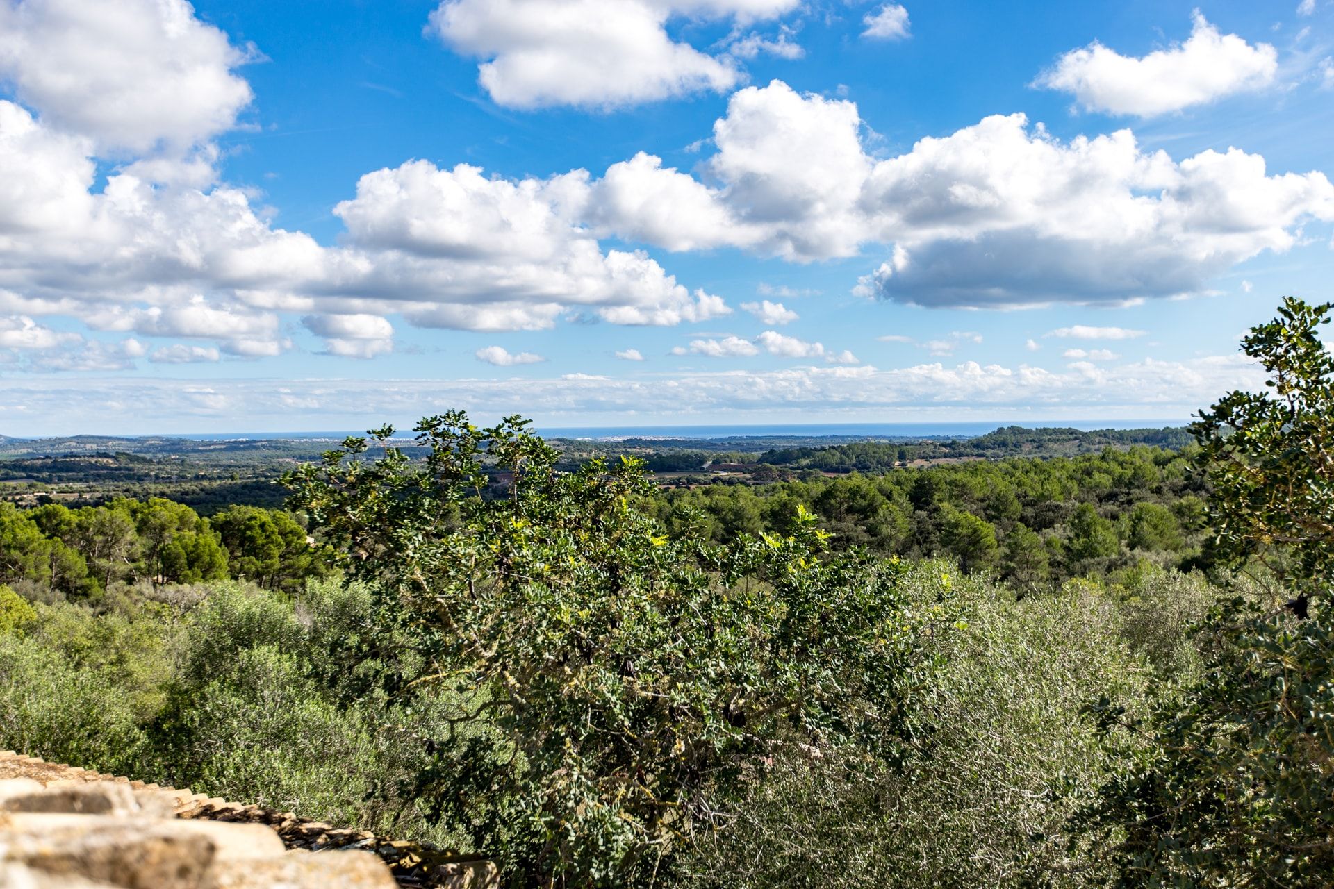 Land in Manacor, De Balearen 11064780