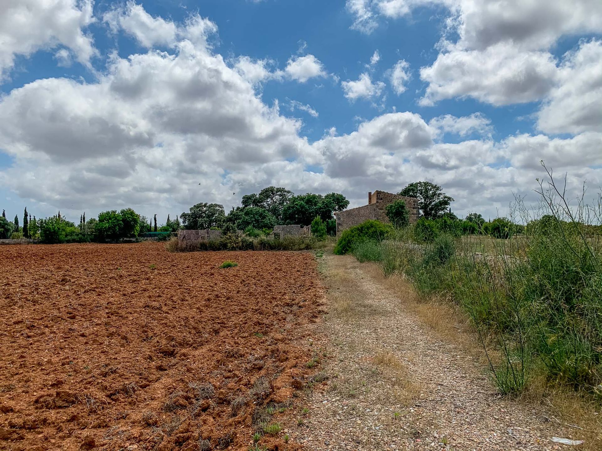 Terre dans L'Arenal, les Îles Baléares 11064790