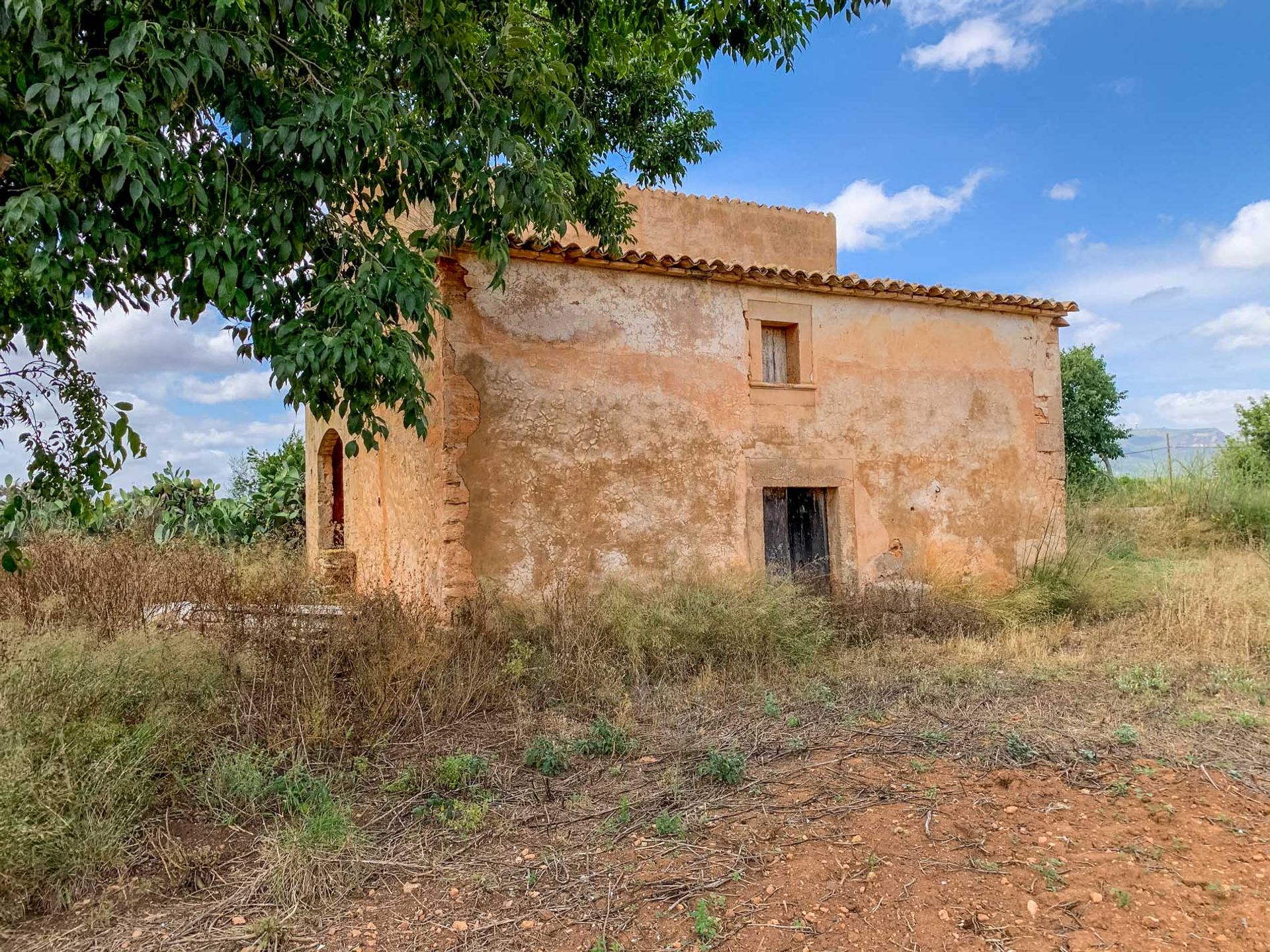 Terre dans L'Arenal, les Îles Baléares 11064790