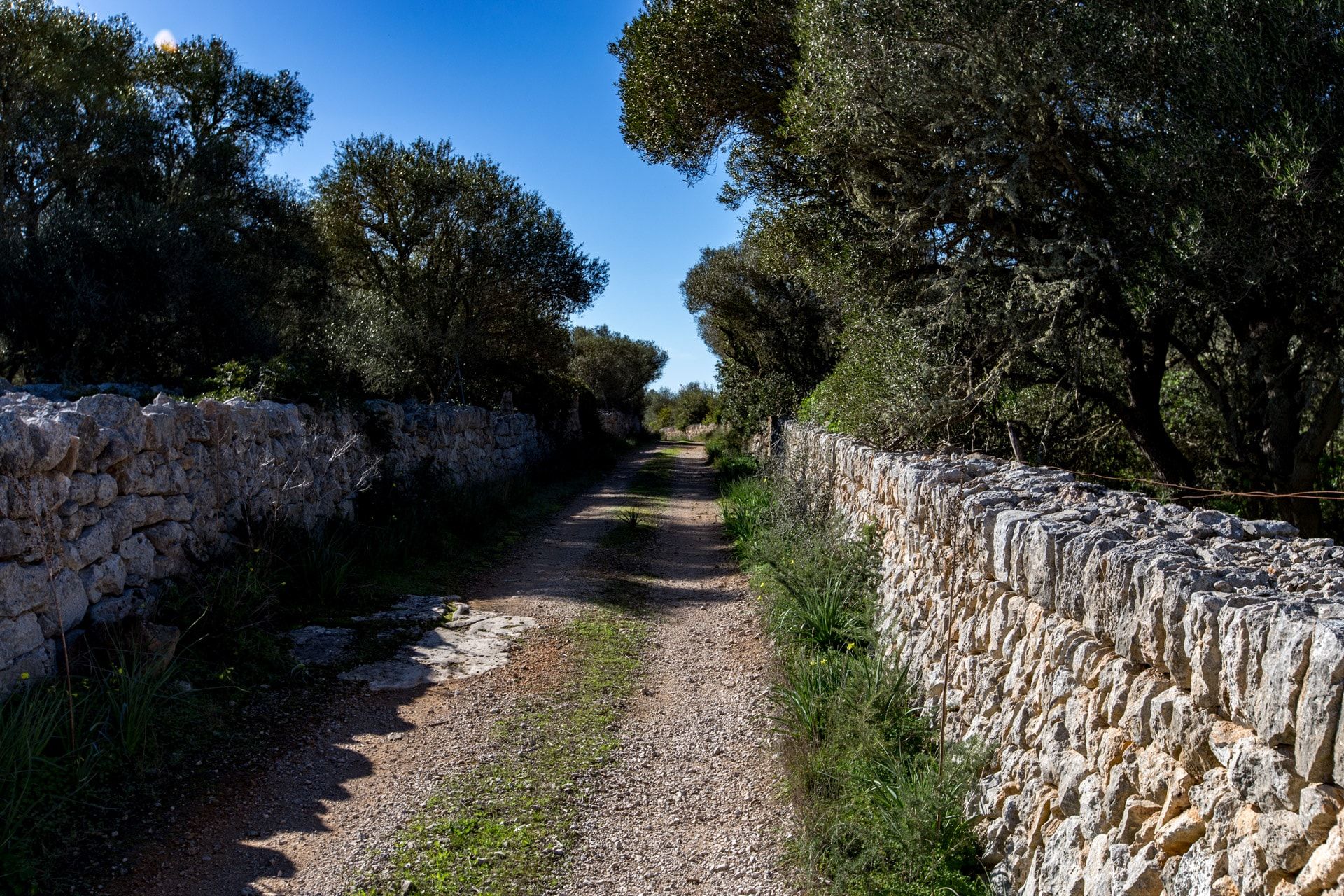 집 에 Santanyí, Illes Balears 11064796