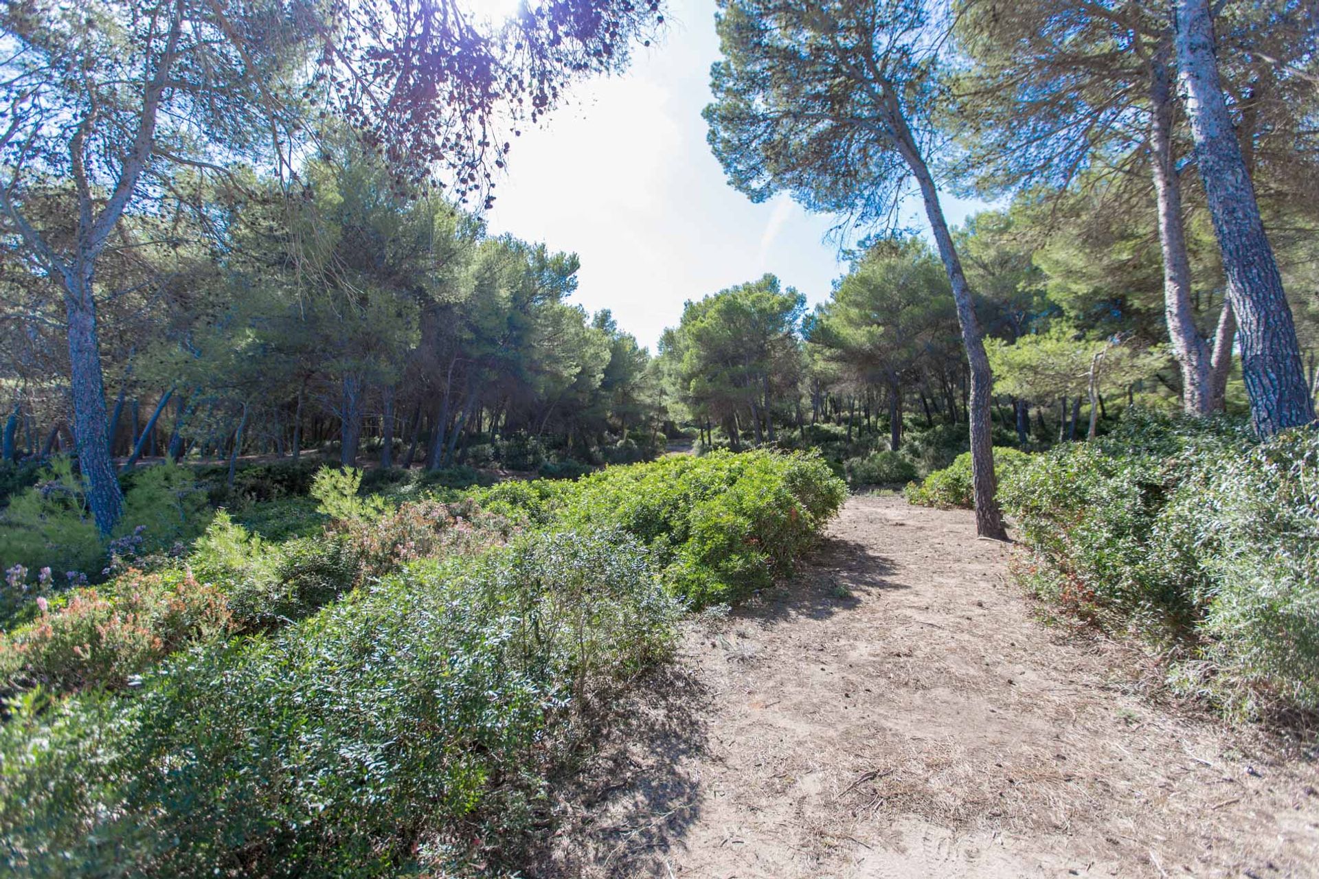 ארץ ב Son Serra de Marina, Balearic Islands 11064797