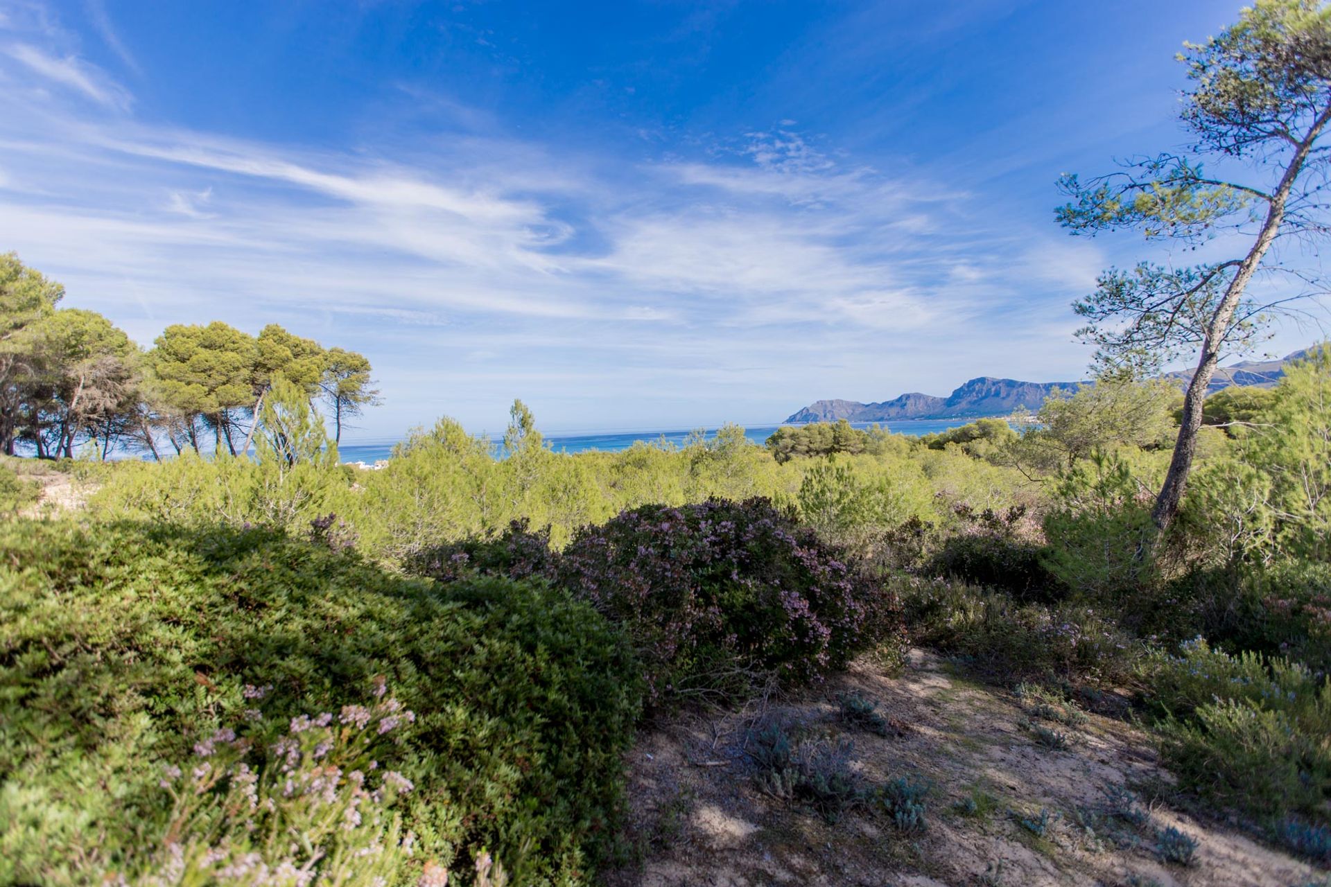 ארץ ב Son Serra de Marina, Balearic Islands 11064797