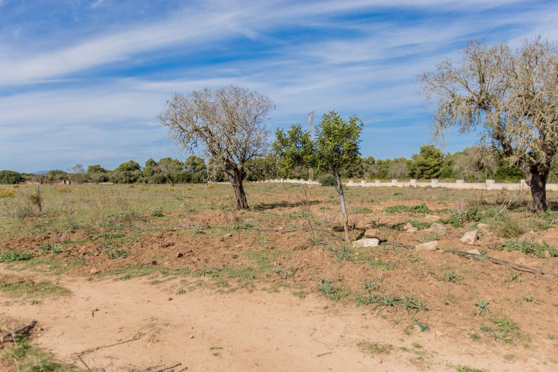 ארץ ב Son Serra de Marina, Balearic Islands 11064797