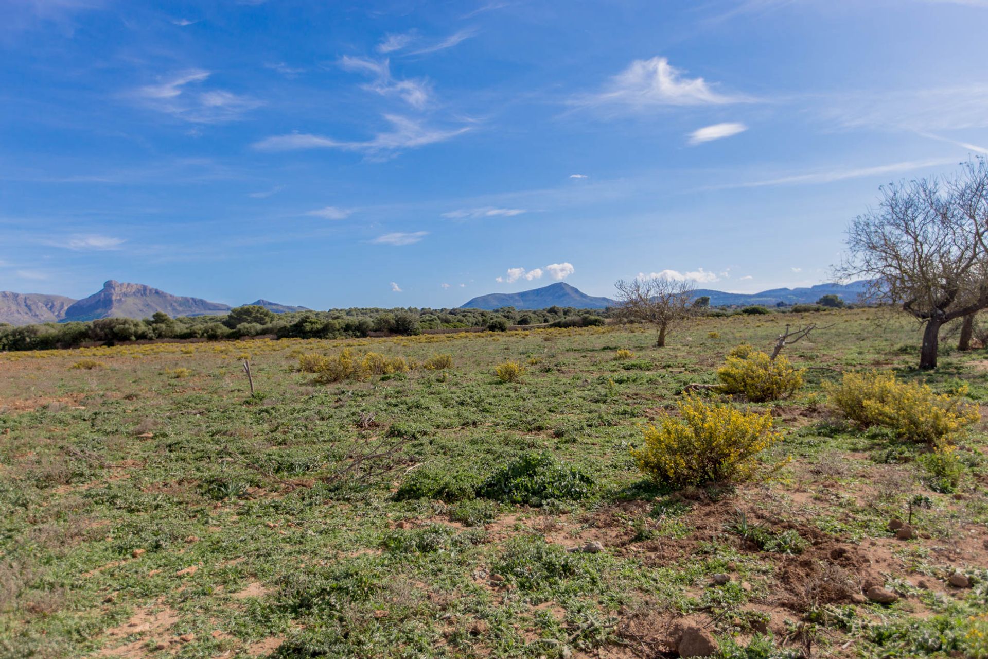 ארץ ב Son Serra de Marina, Balearic Islands 11064797