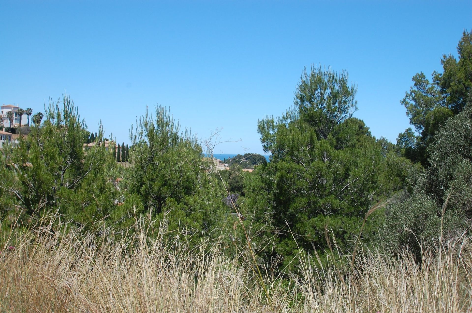 Land in Dénia, Comunidad Valenciana 11064853