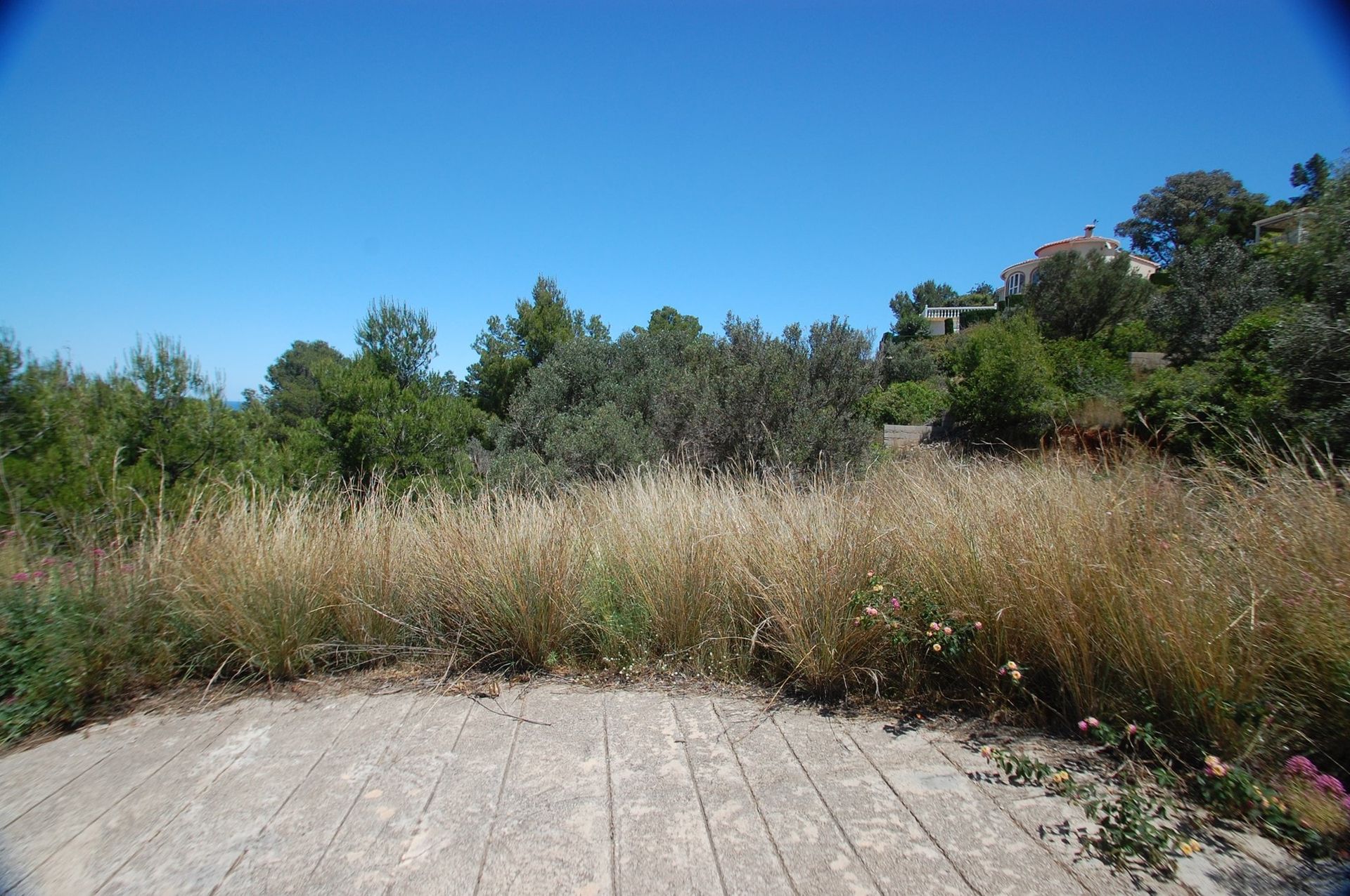 Land in Dénia, Comunidad Valenciana 11064853