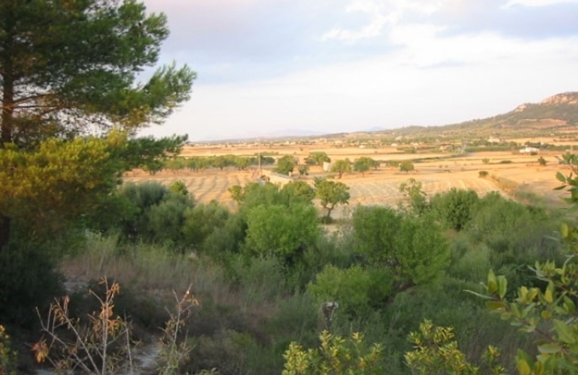 Maa sisään Sineu, Balearic Islands 11064877