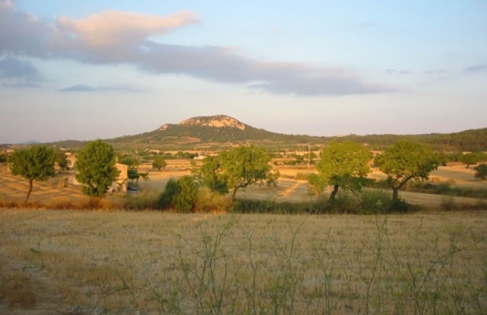 Γη σε Sineu, Βαλεαρίδες Νήσοι 11064877