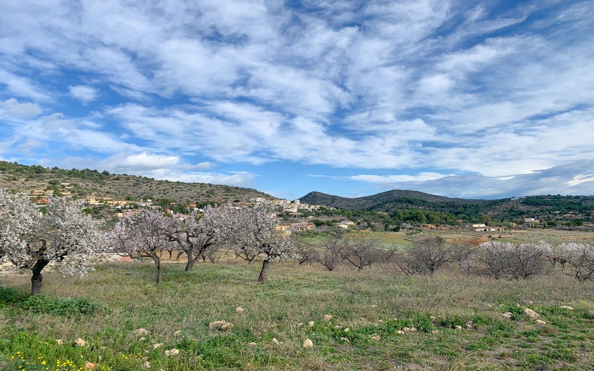 σπίτι σε , Comunidad Valenciana 11065045