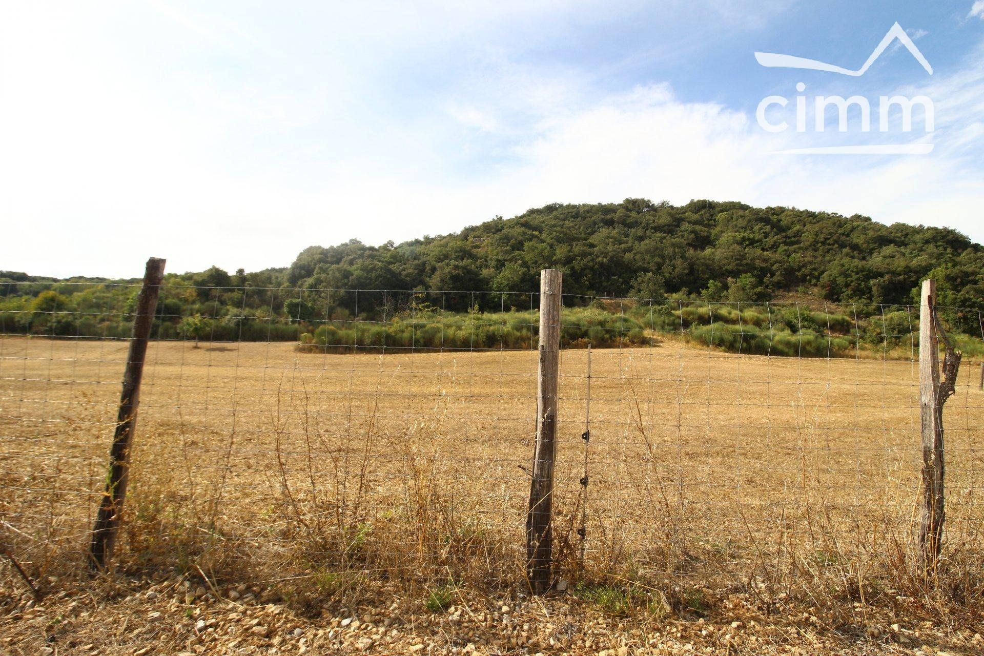 Commerciale nel Dernacueillette, Aude 11065109