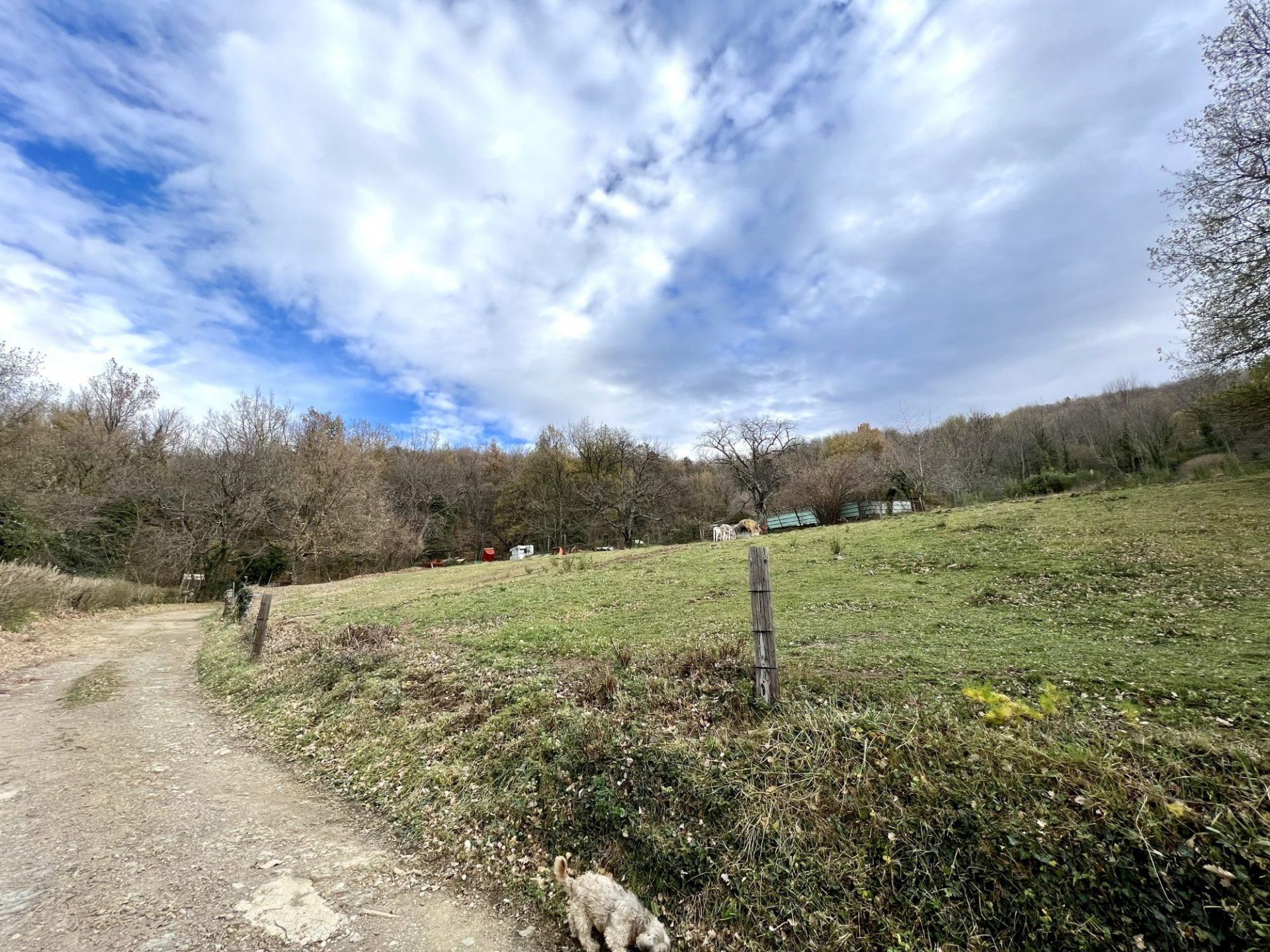 Yang lain dalam Prunet-et-Belpuig, Pyrénées-Orientales 11066475