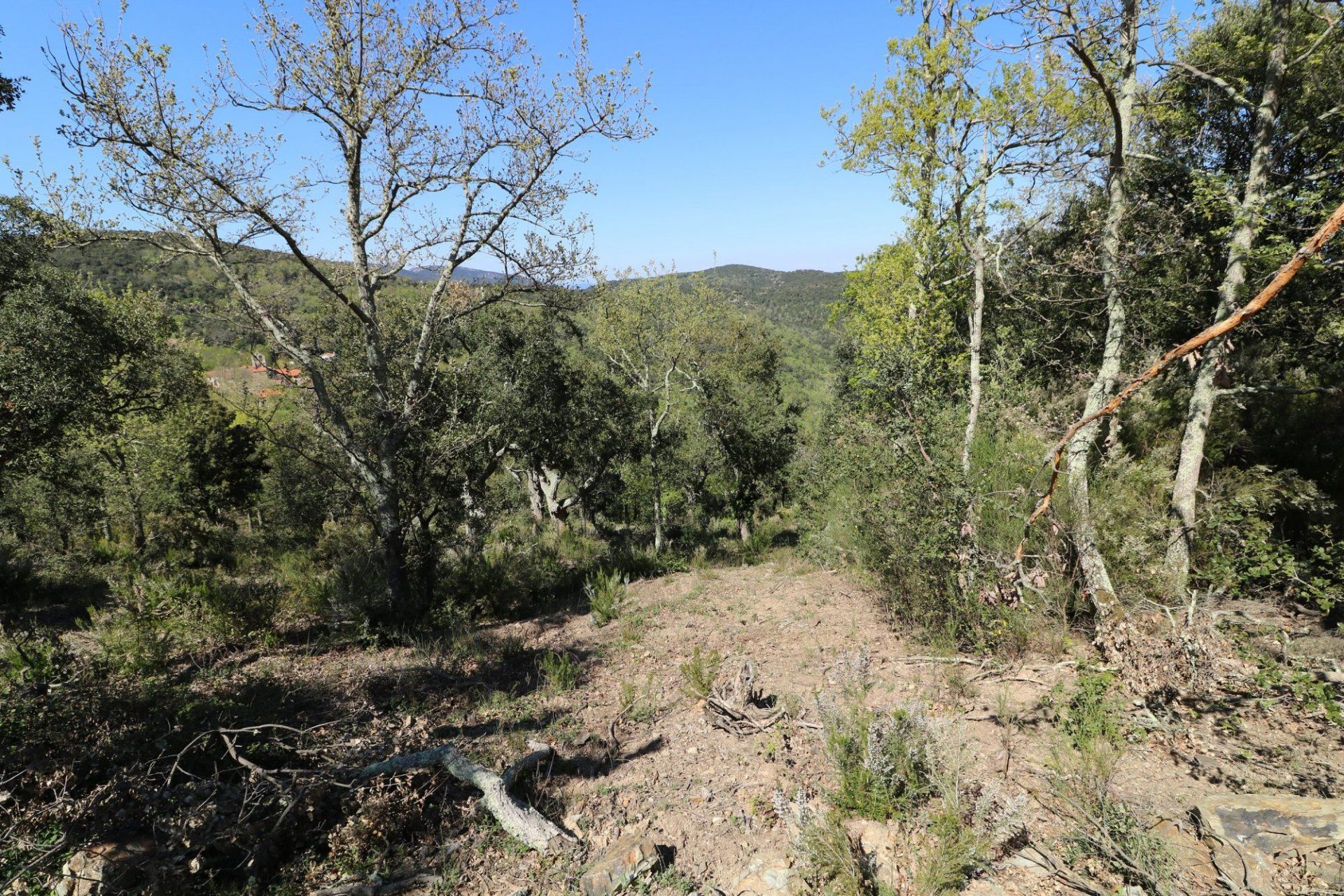 Tanah dalam Pertuis, Provence-Alpes-Côte d'Azur 11066479