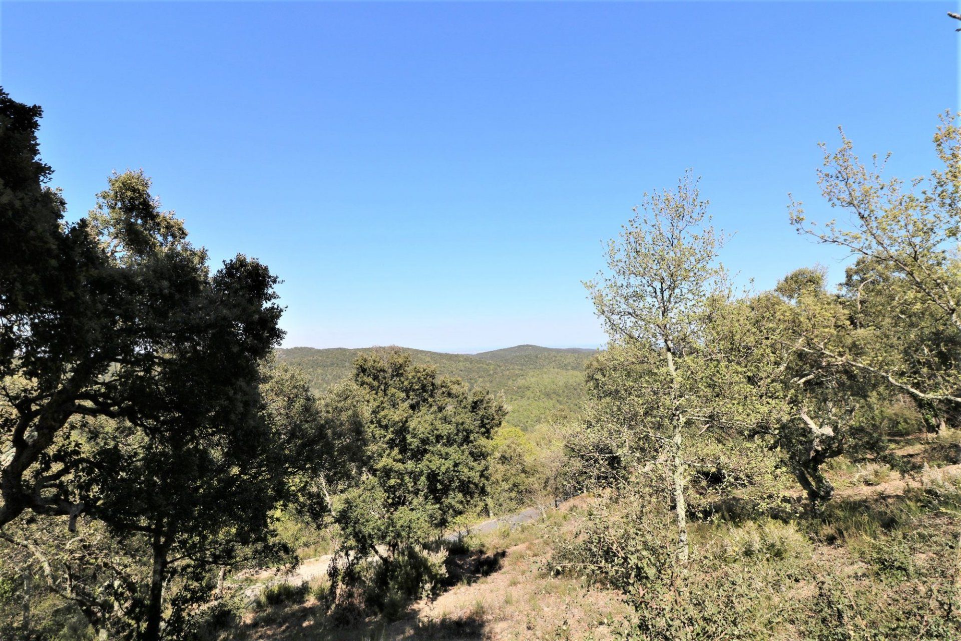 Land in Taillet, Pyrénées-Orientales 11066479