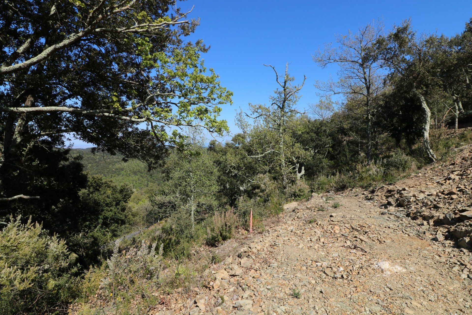 土地 在 Taillet, Pyrénées-Orientales 11066479