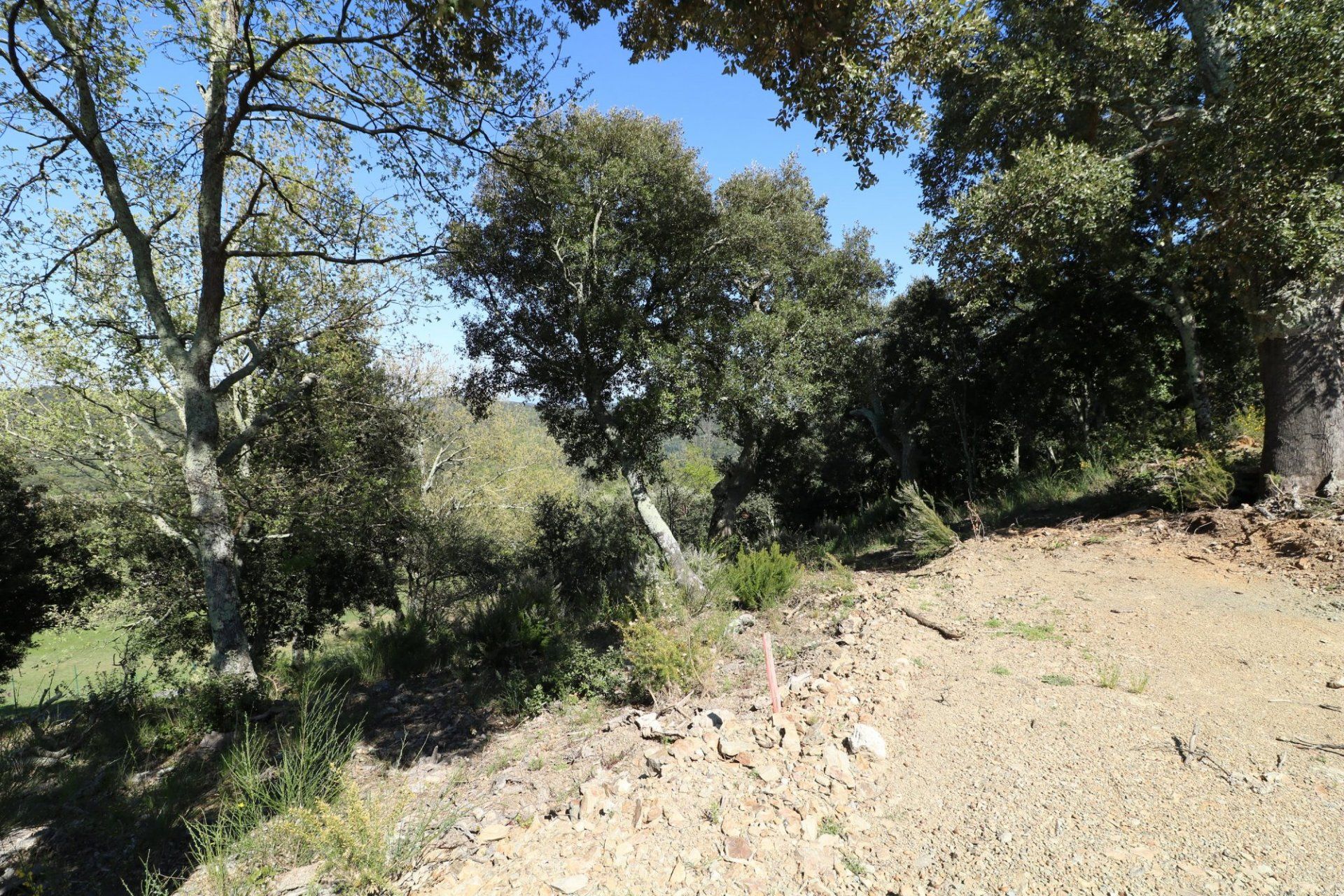 土地 在 Taillet, Pyrénées-Orientales 11066479