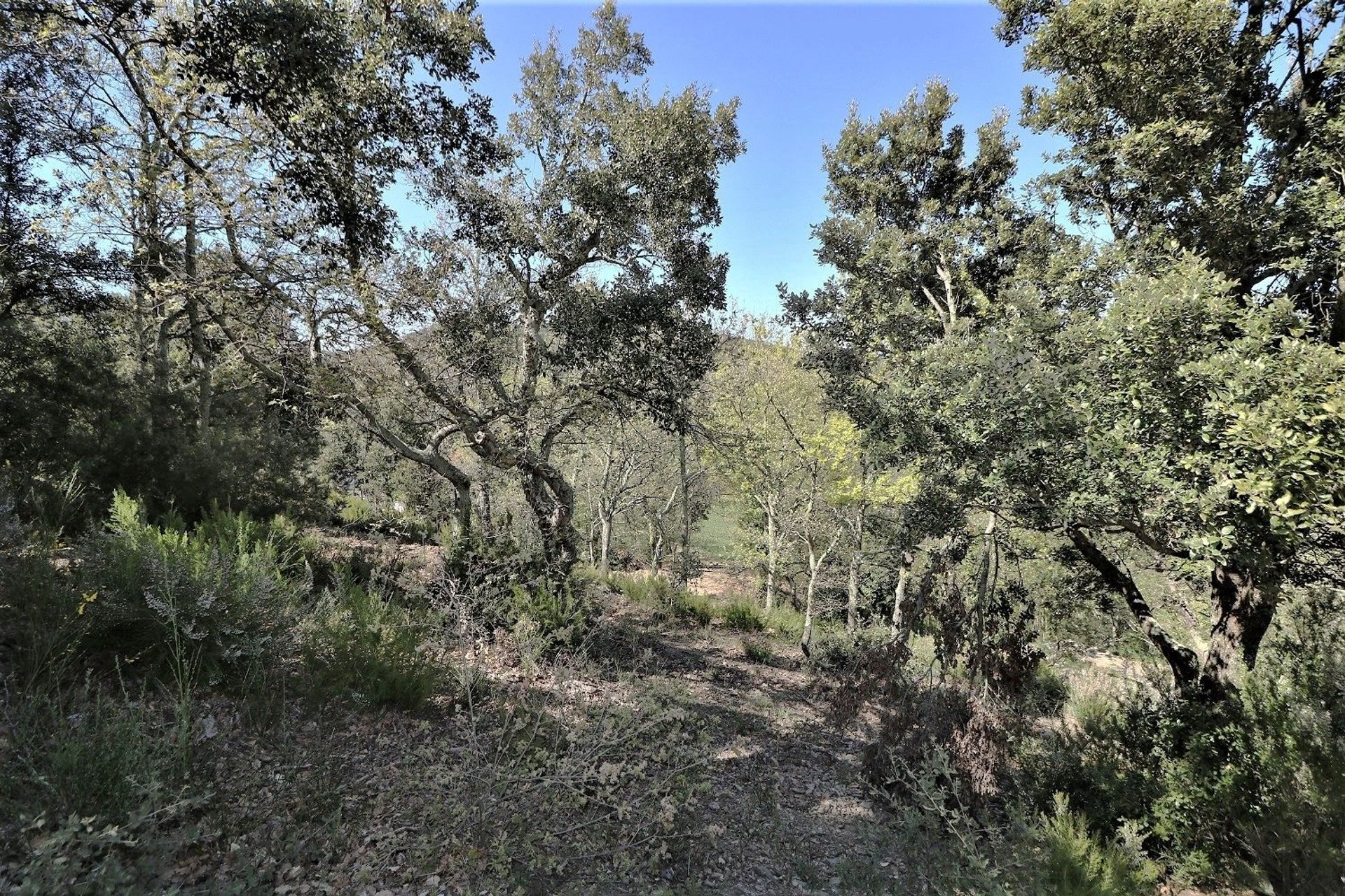 Tanah dalam Taillet, Pyrénées-Orientales 11066480