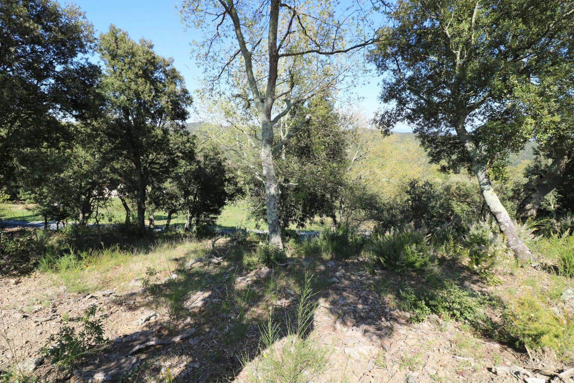 Tanah dalam Taillet, Pyrénées-Orientales 11066480