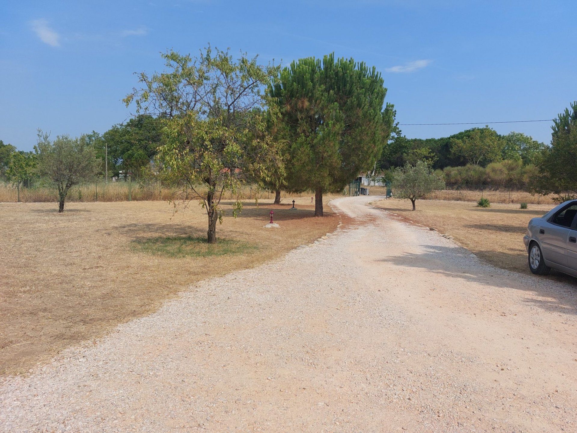 집 에 Céret, Pyrénées-Orientales 11066528