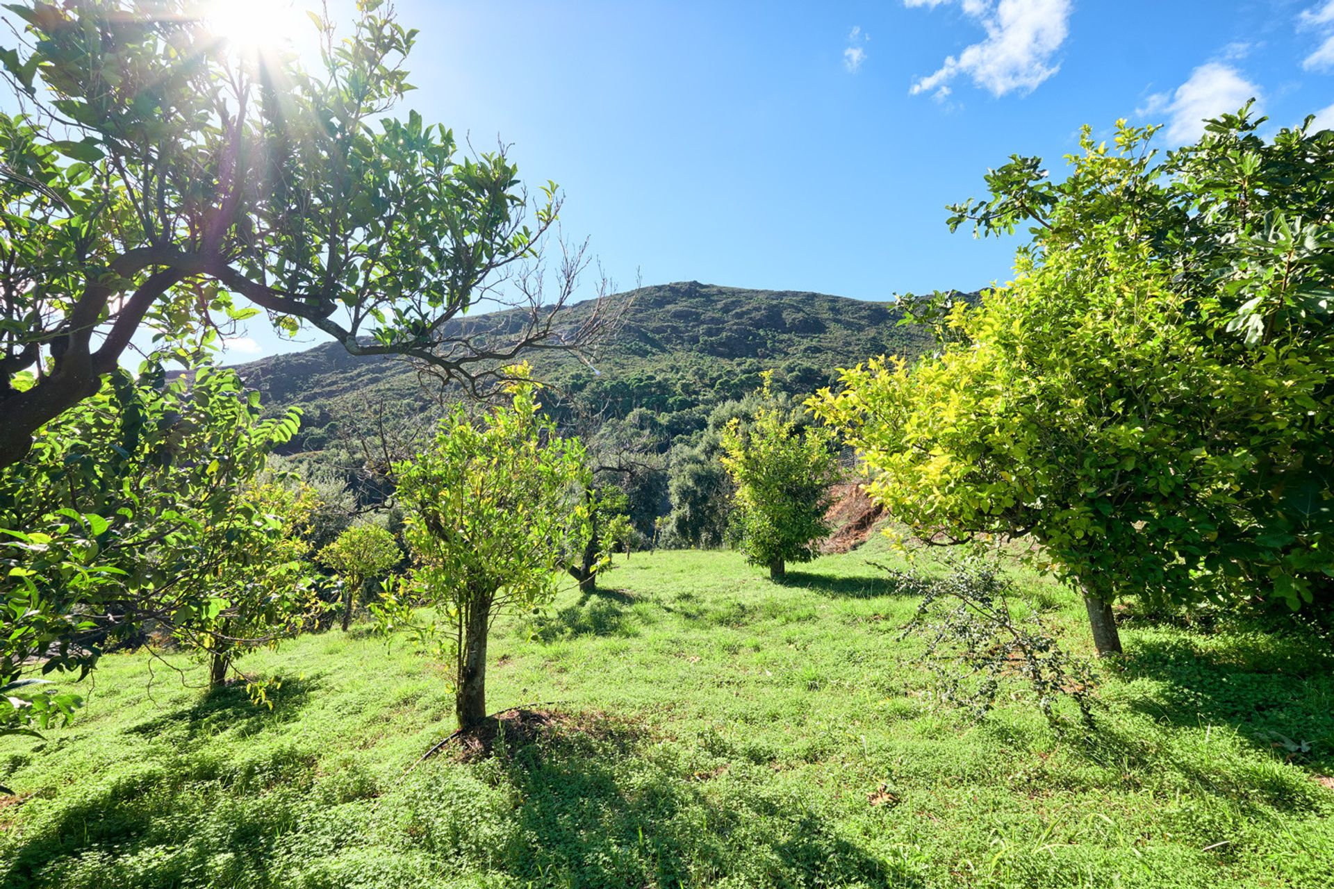 بيت في Estepona, Andalucía 11068771