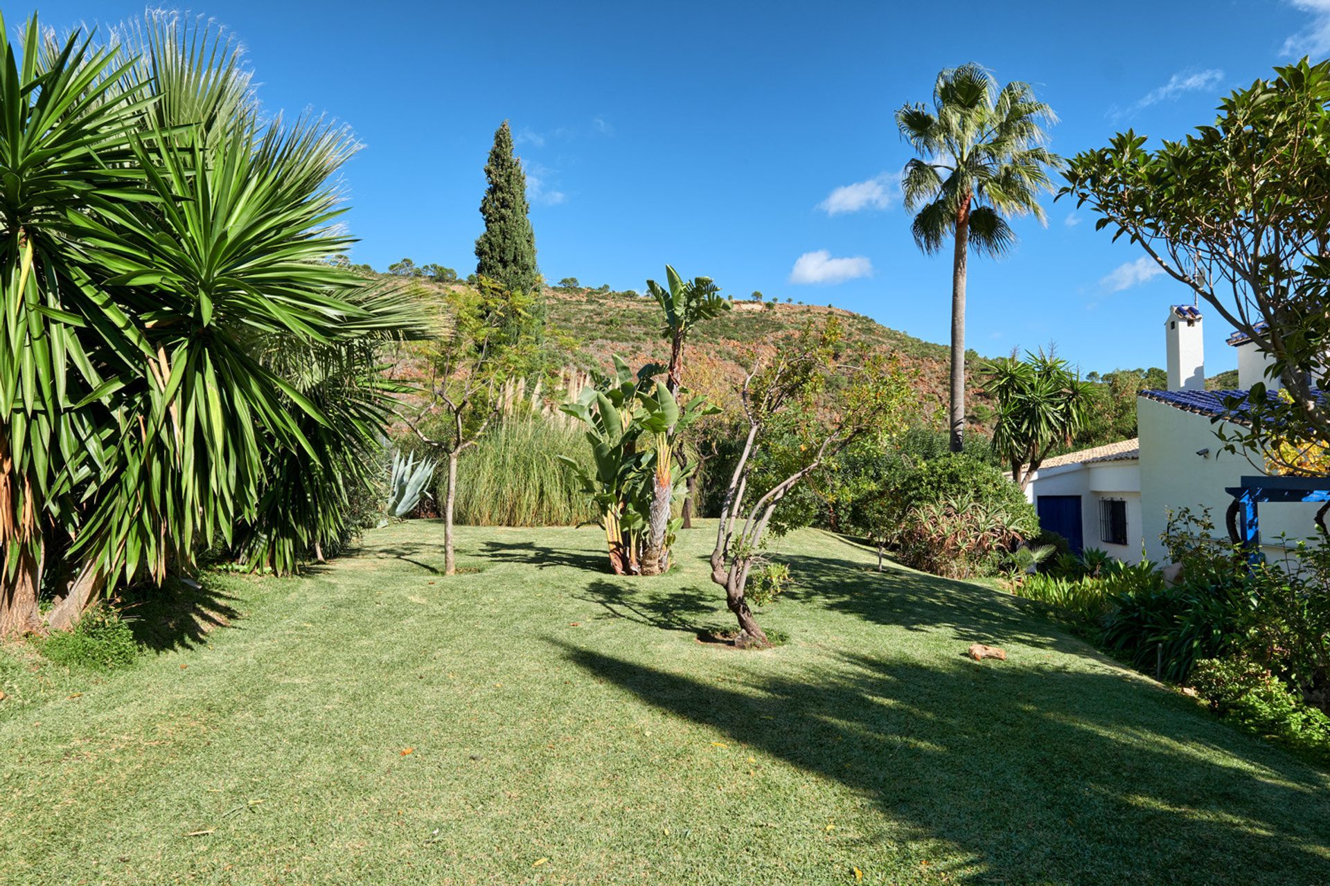 casa no Genalguacil, Andaluzia 11068771