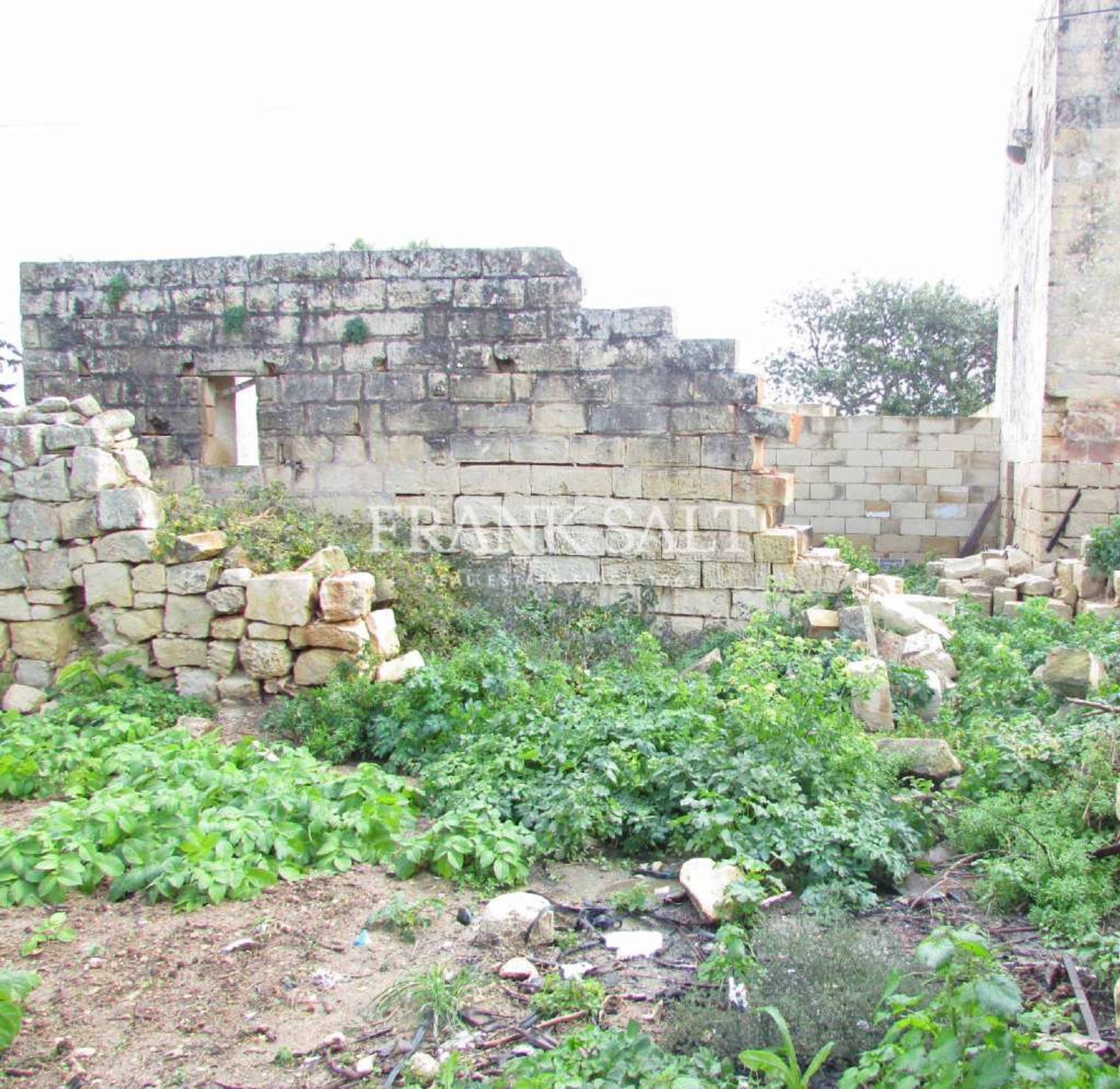 rumah dalam Zejtun, Zejtun 11069870