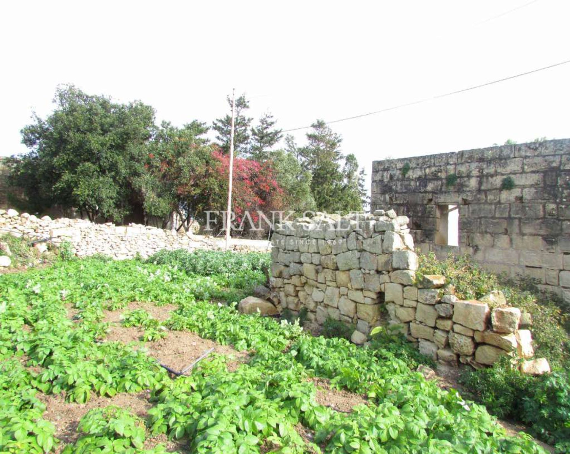 Hus i Zejtun, Zejtun 11069870