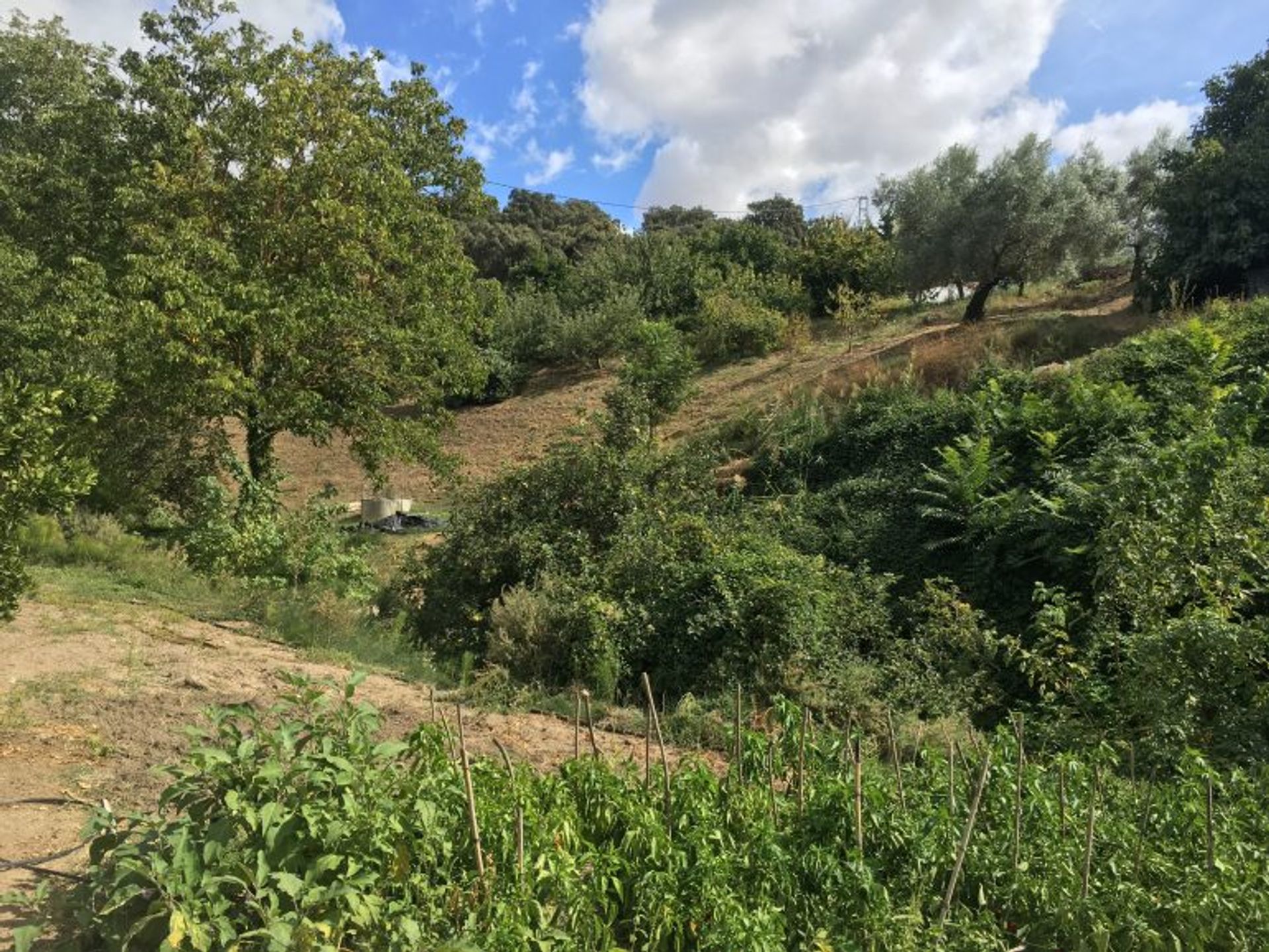 Hus i Ronda, Andalucía 11069967