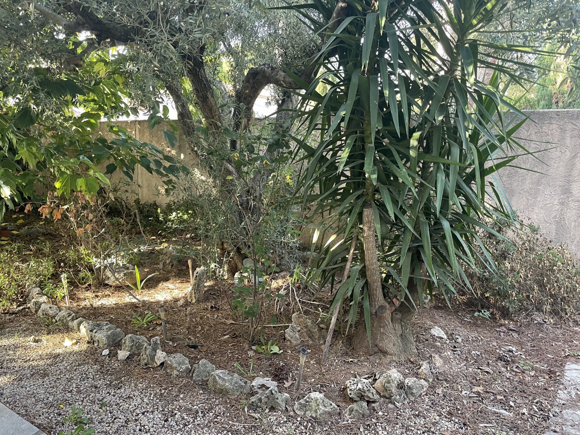 Huis in Valescure, Provence-Alpes-Côte d'Azur 11071623