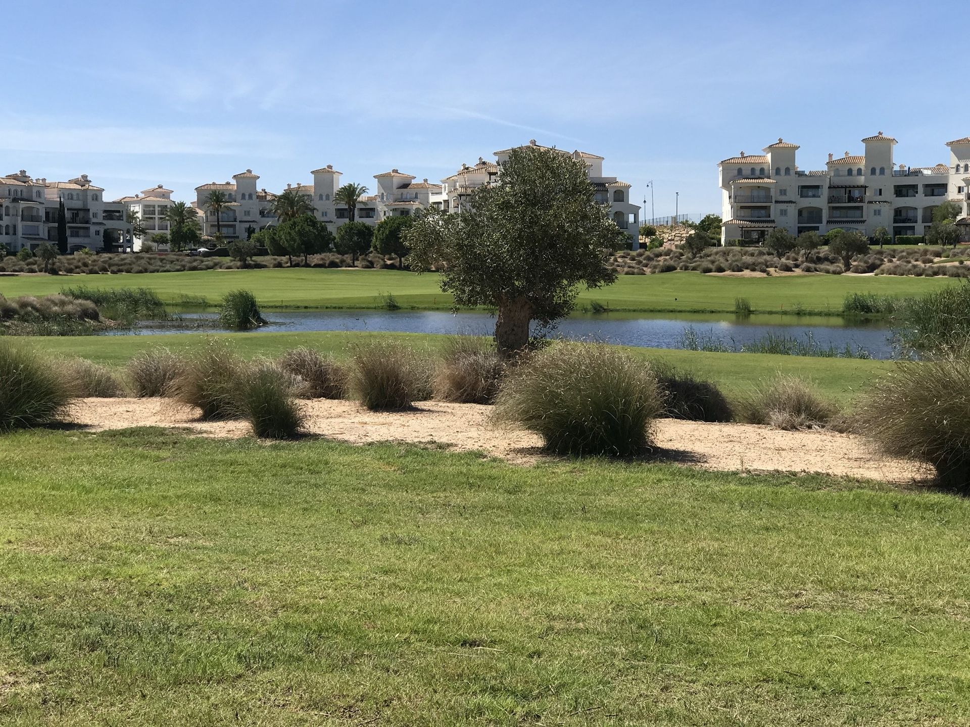 Borettslag i Murcia, Región de Murcia 11072324