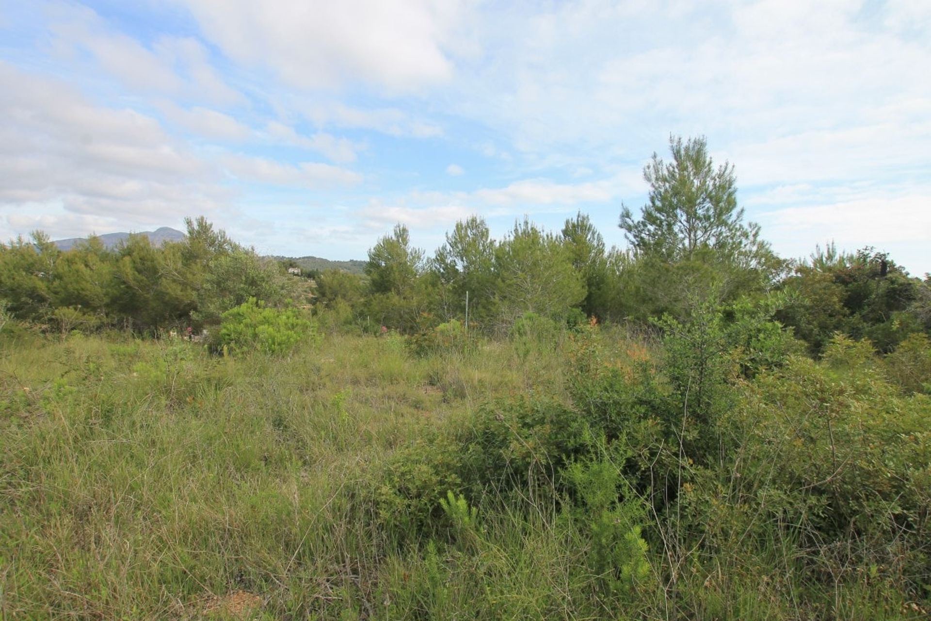 Land in Jávea, Comunidad Valenciana 11072842