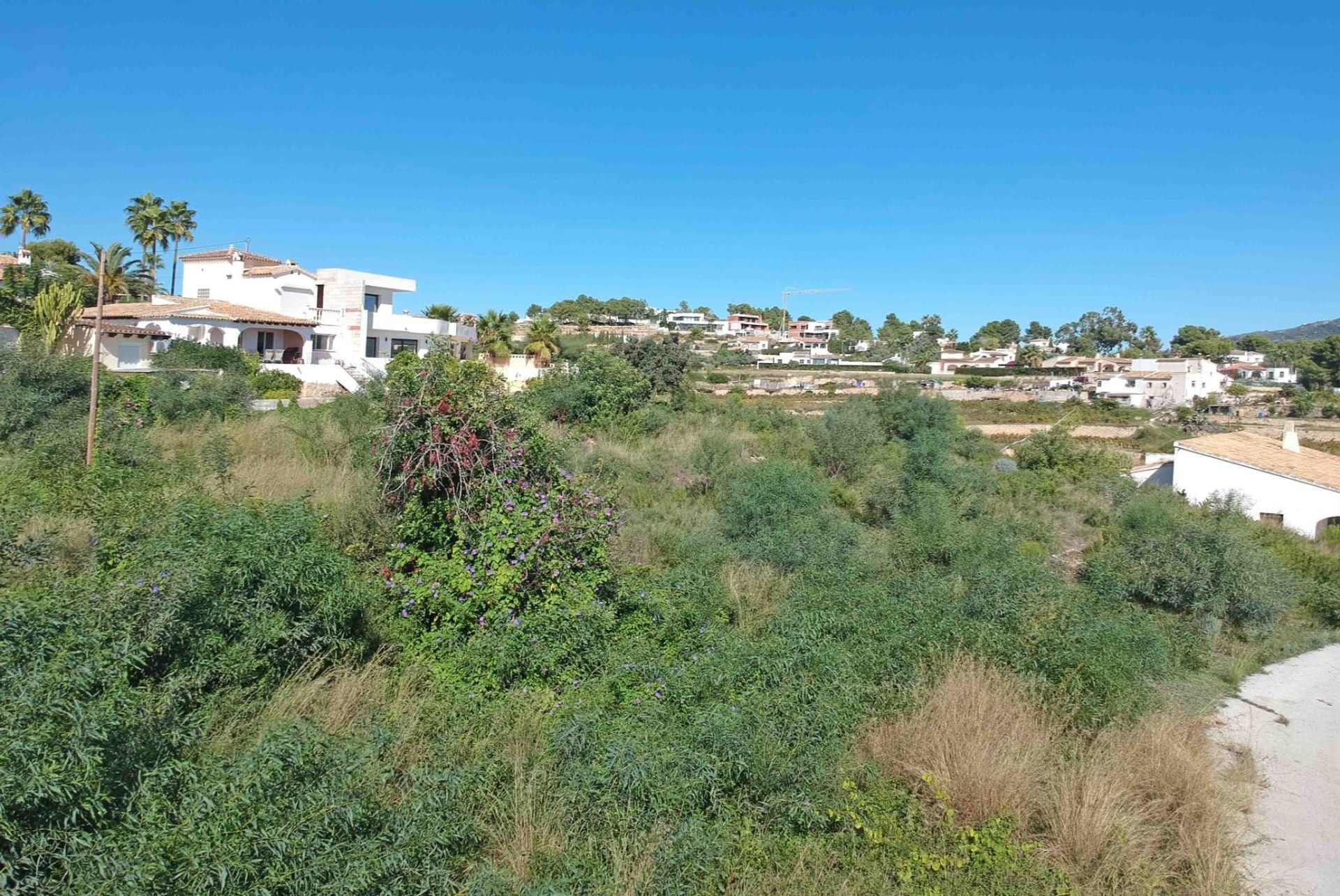 Land in Teulada, Comunidad Valenciana 11073996