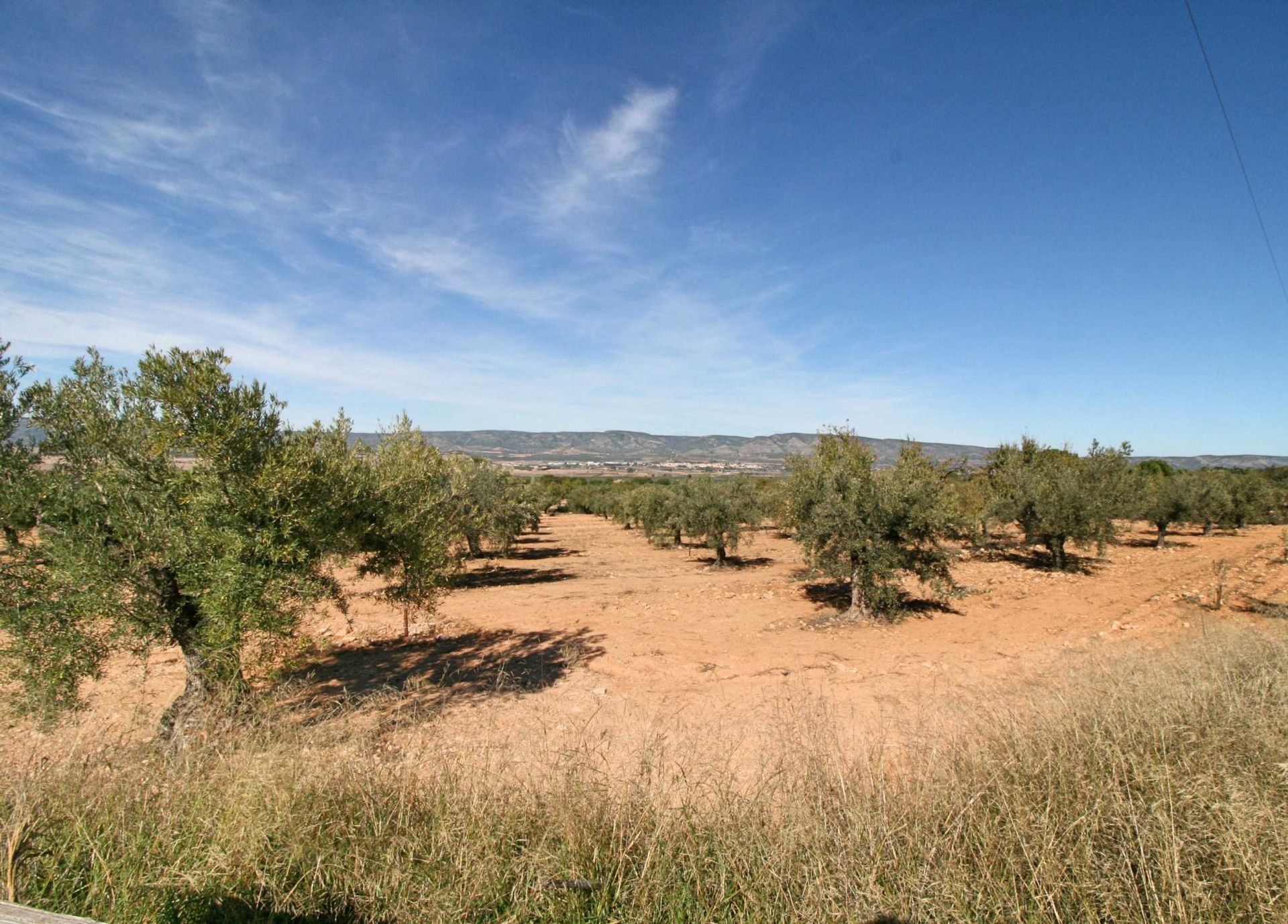 Land in Biar, Valencia 11074035