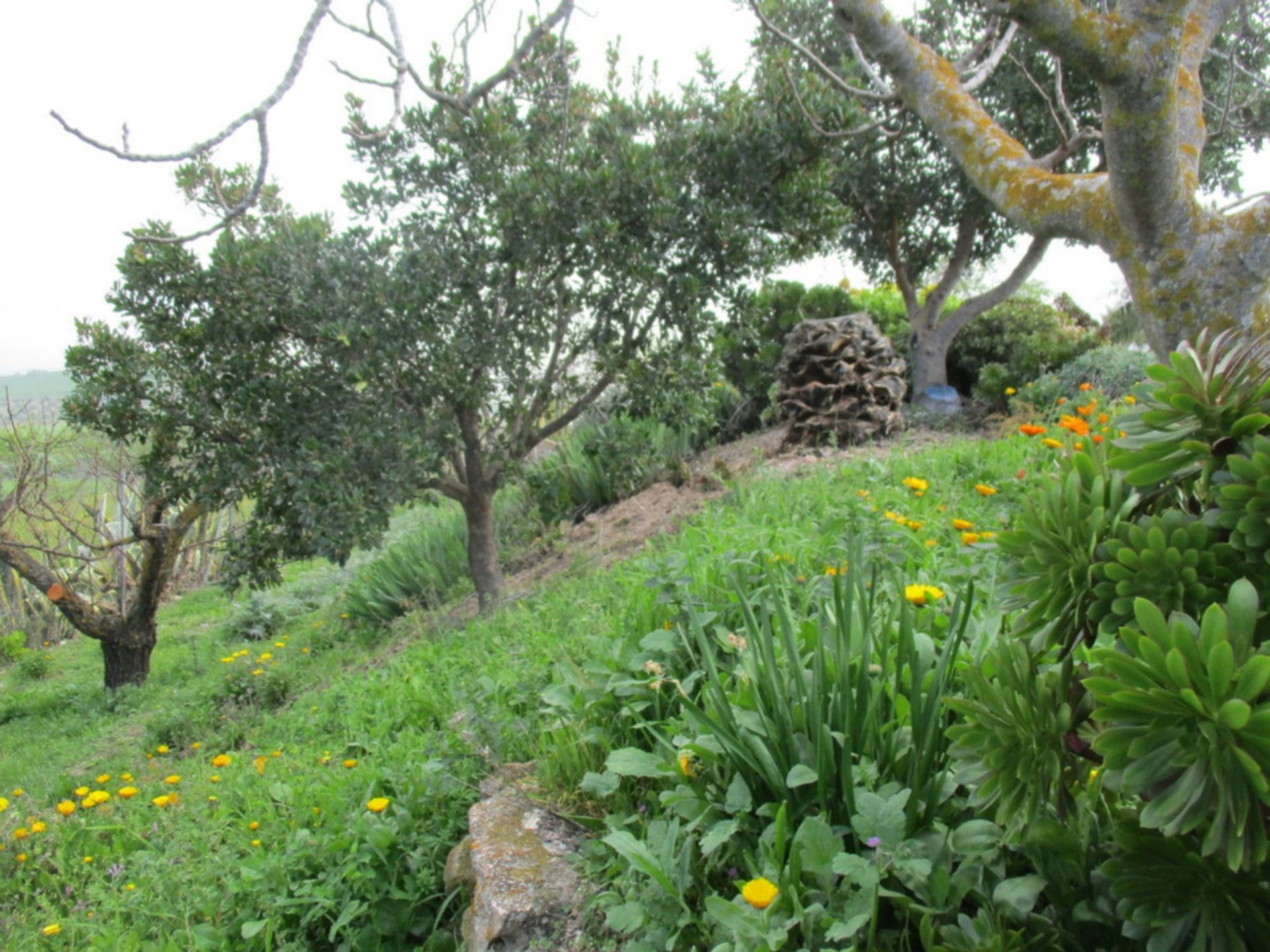 Rumah di Ardales, Andalucía 11074181