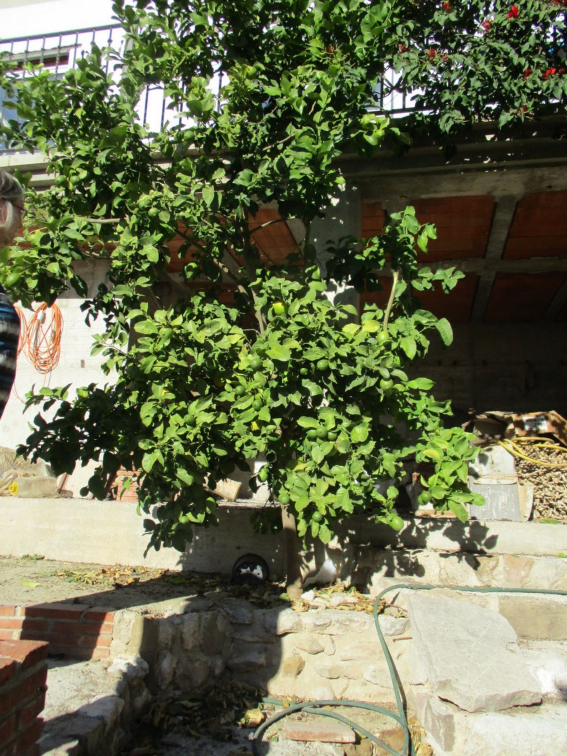 Hus i Valle de Abdalajís, Andalucía 11074443