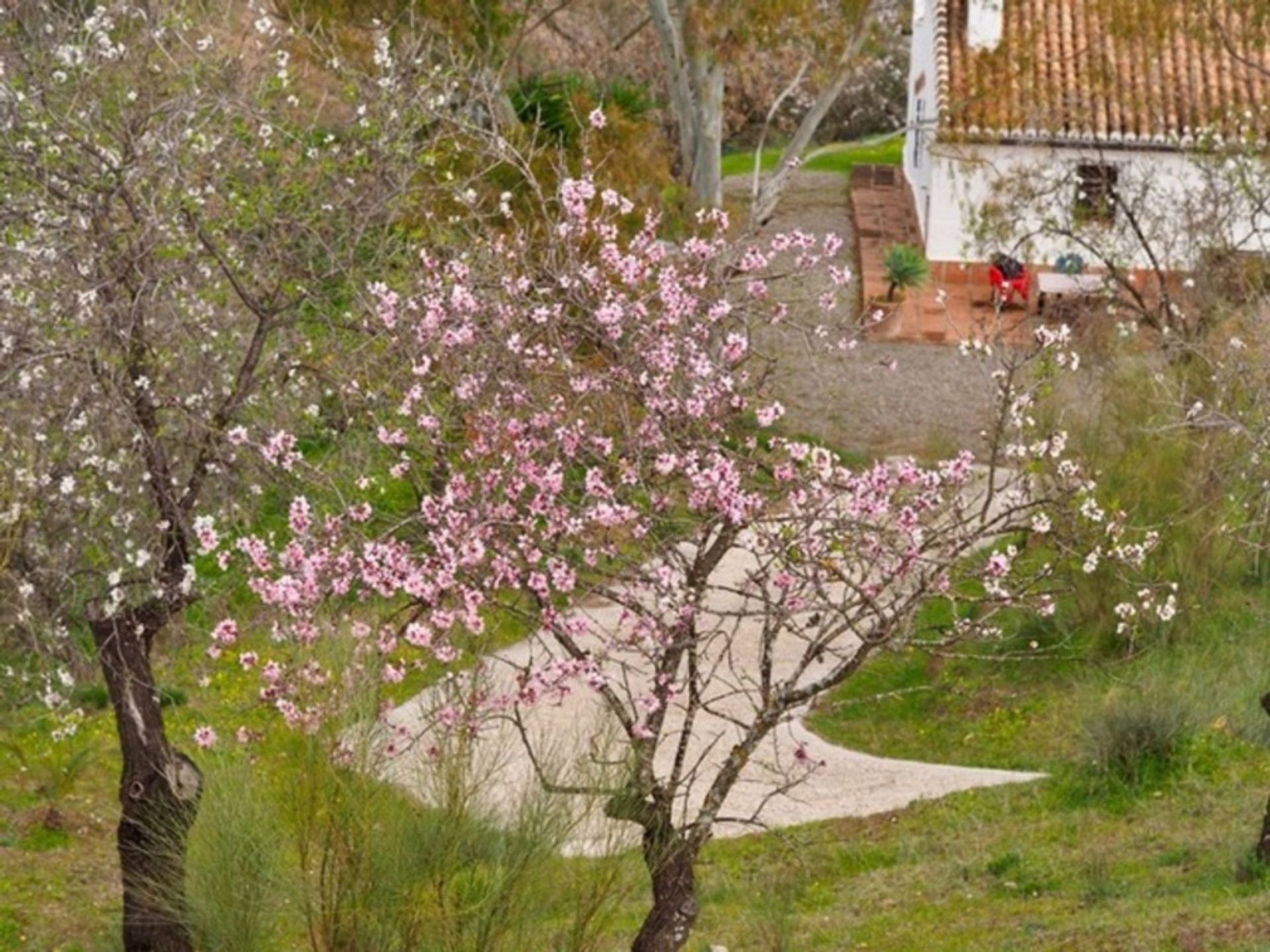 Casa nel Álora, Andalucía 11074611