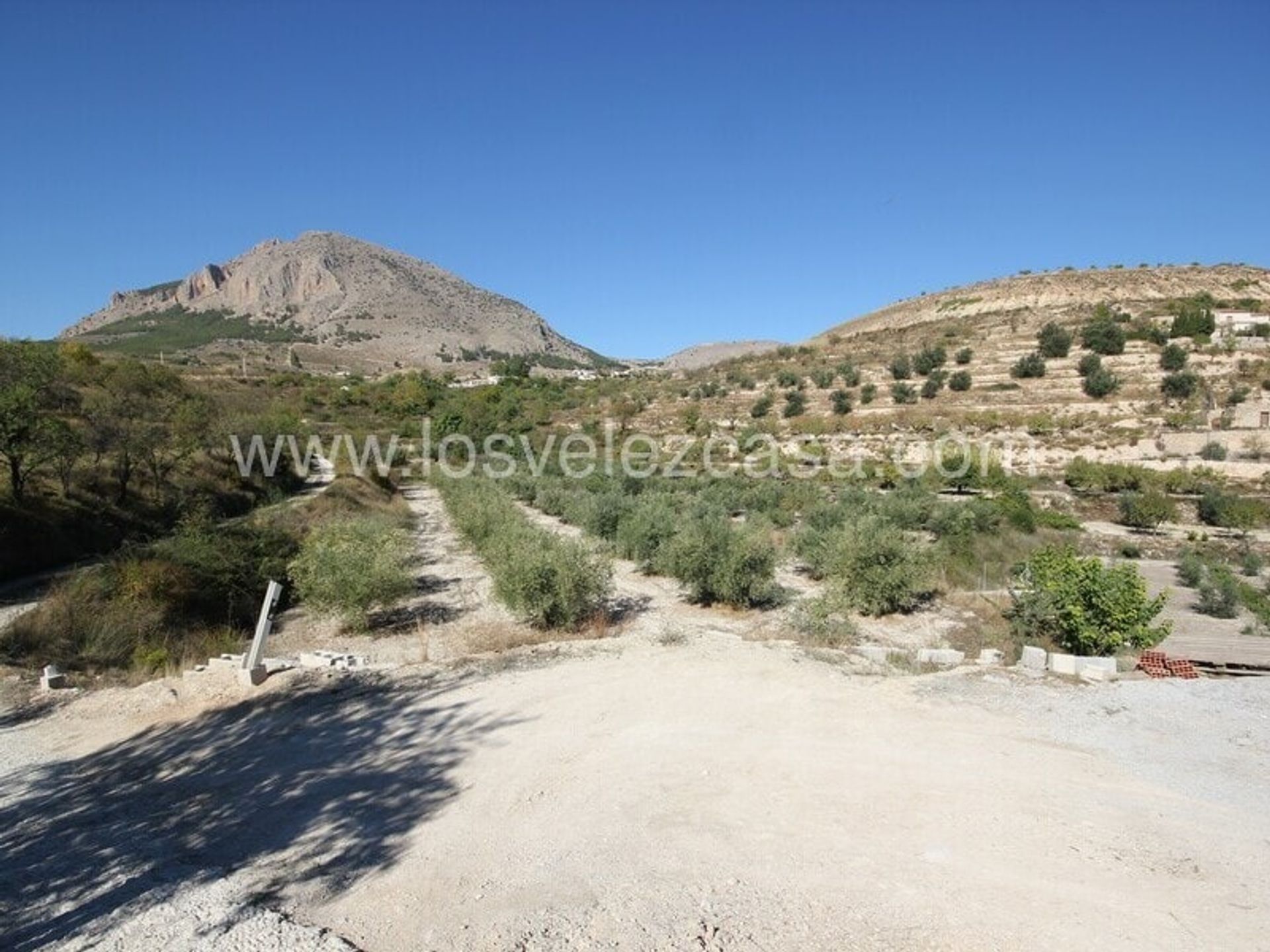 Land in Vélez-Blanco, Andalucía 11074616