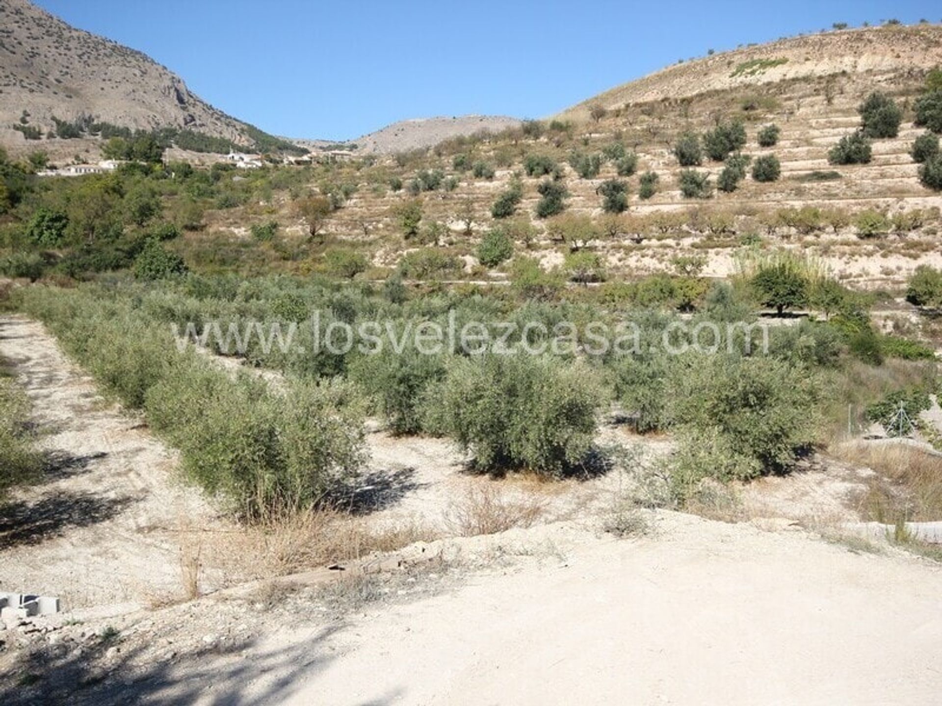 Jord i Velez Blanco, Andalusien 11074616