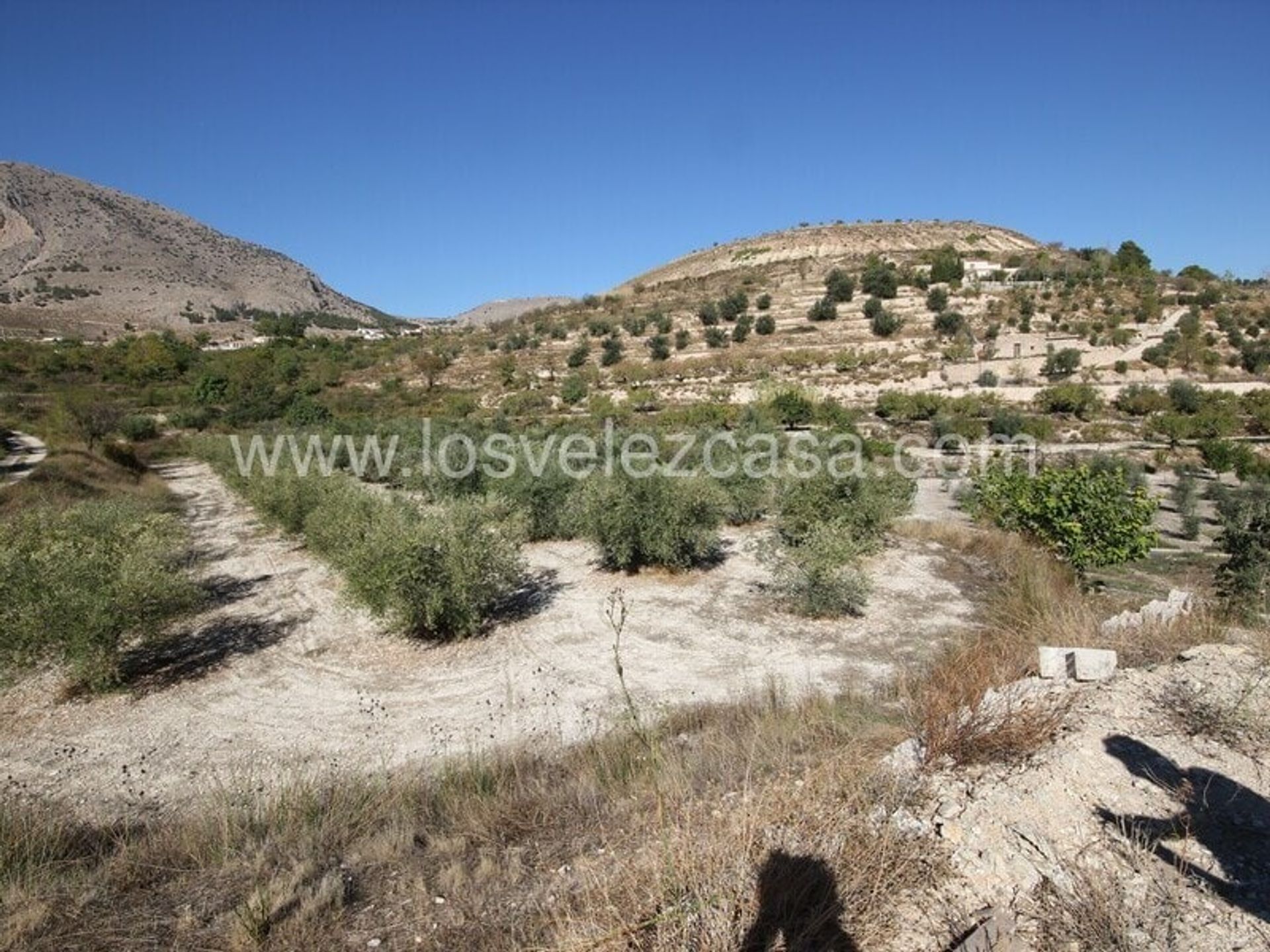 Land in Vélez-Blanco, Andalucía 11074616