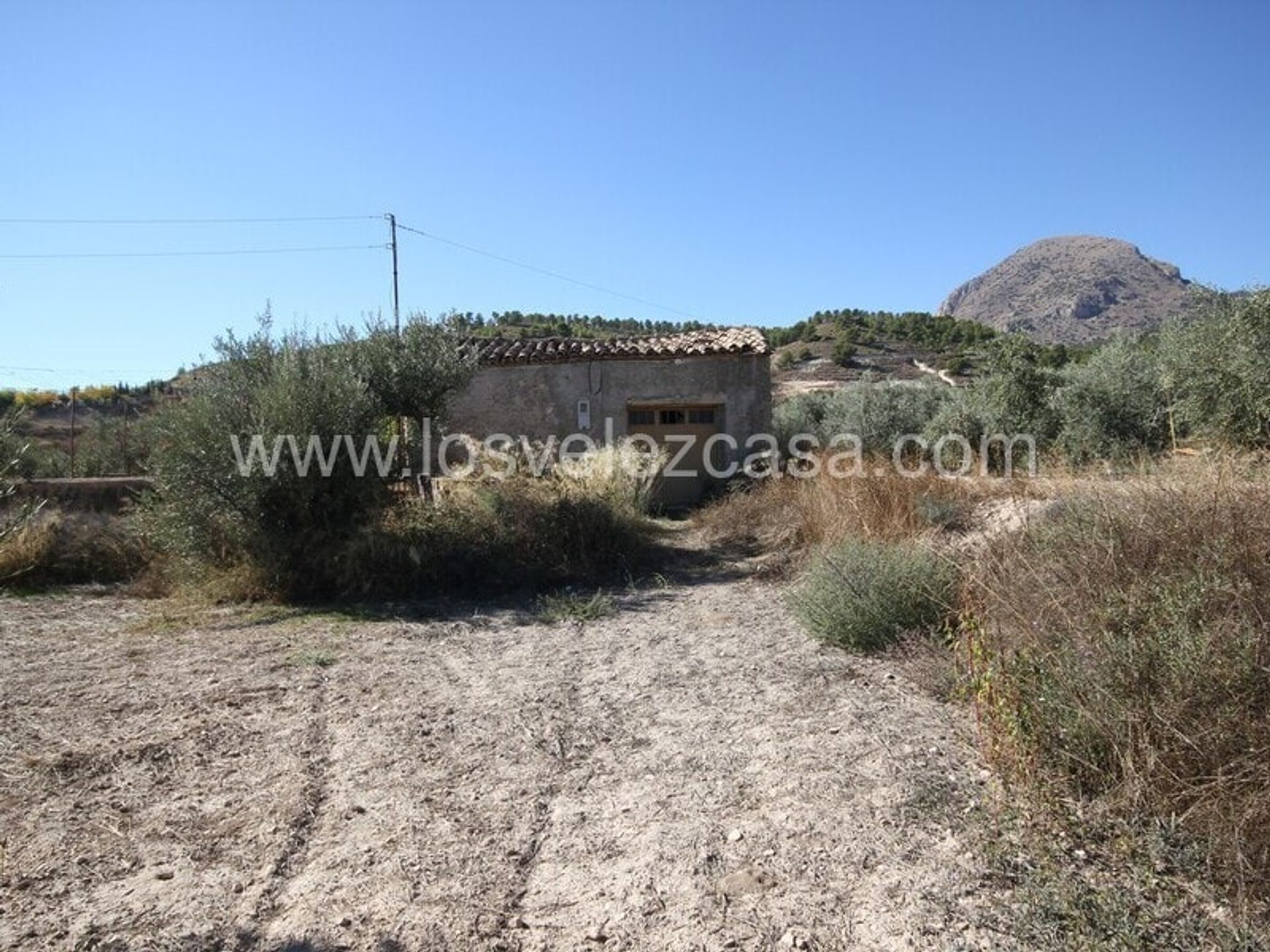 casa en Vélez-Blanco, Andalucía 11074621