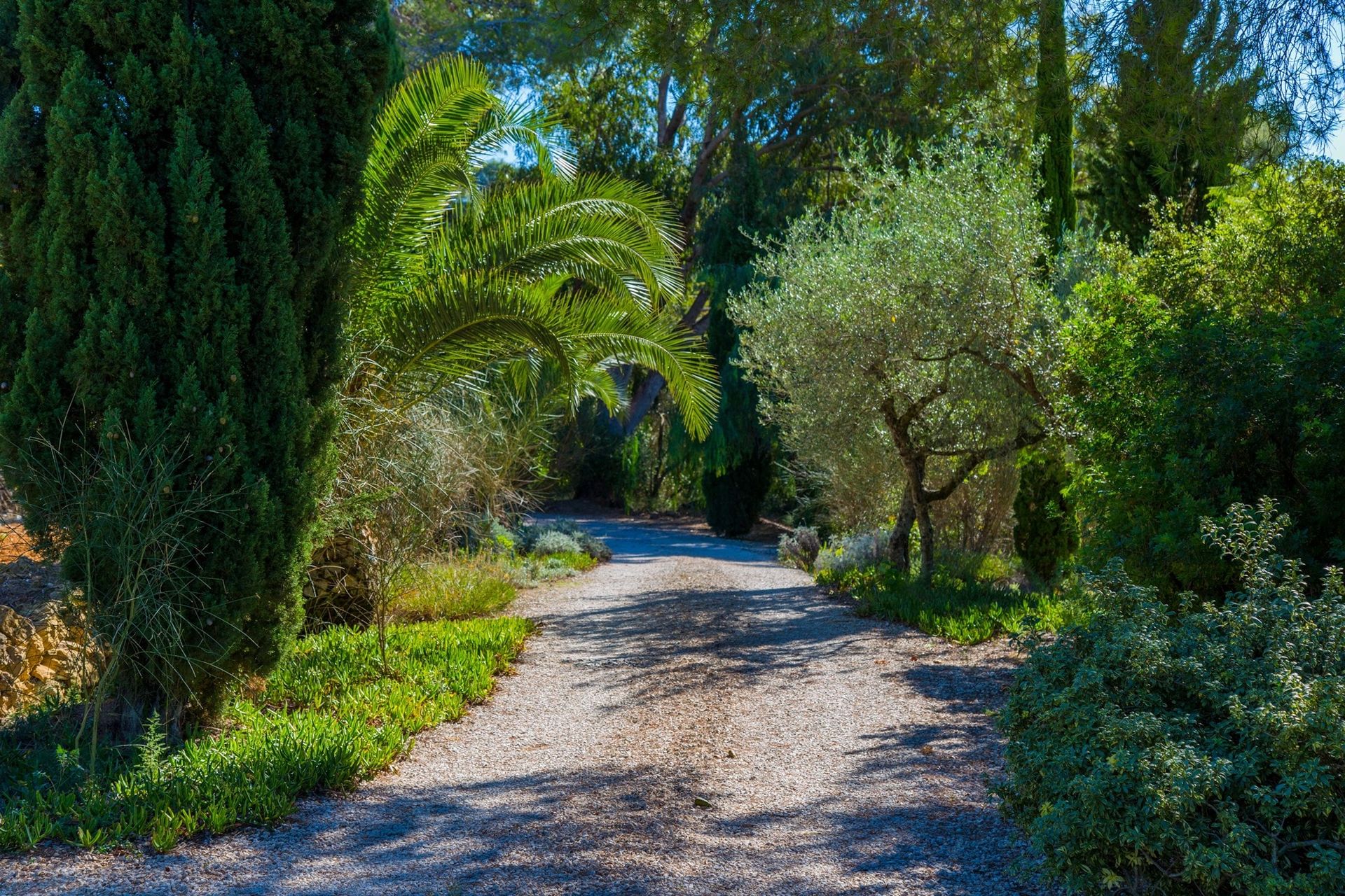 Huis in Dénia, Comunidad Valenciana 11074788