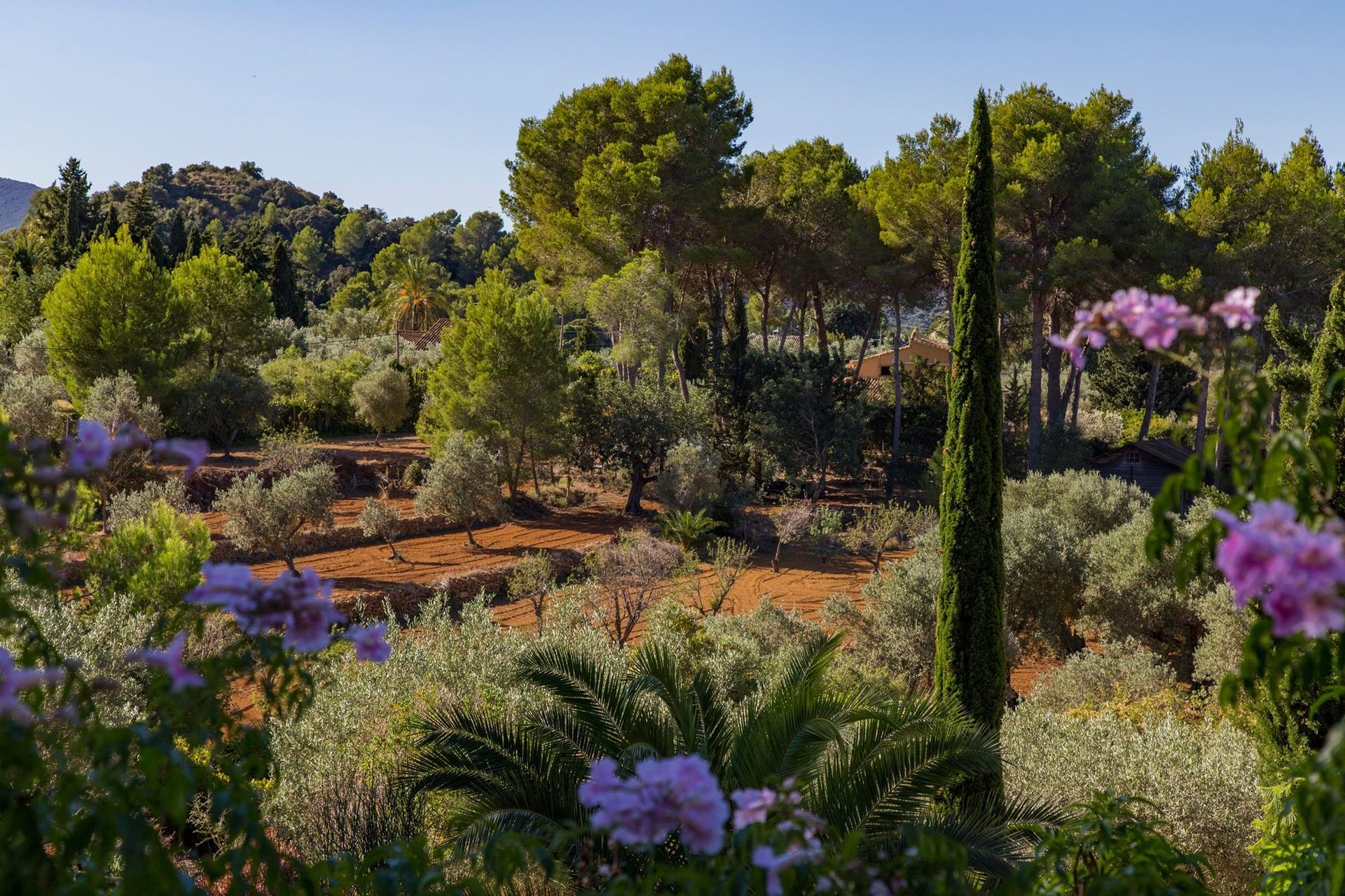 Huis in Dénia, Comunidad Valenciana 11074788