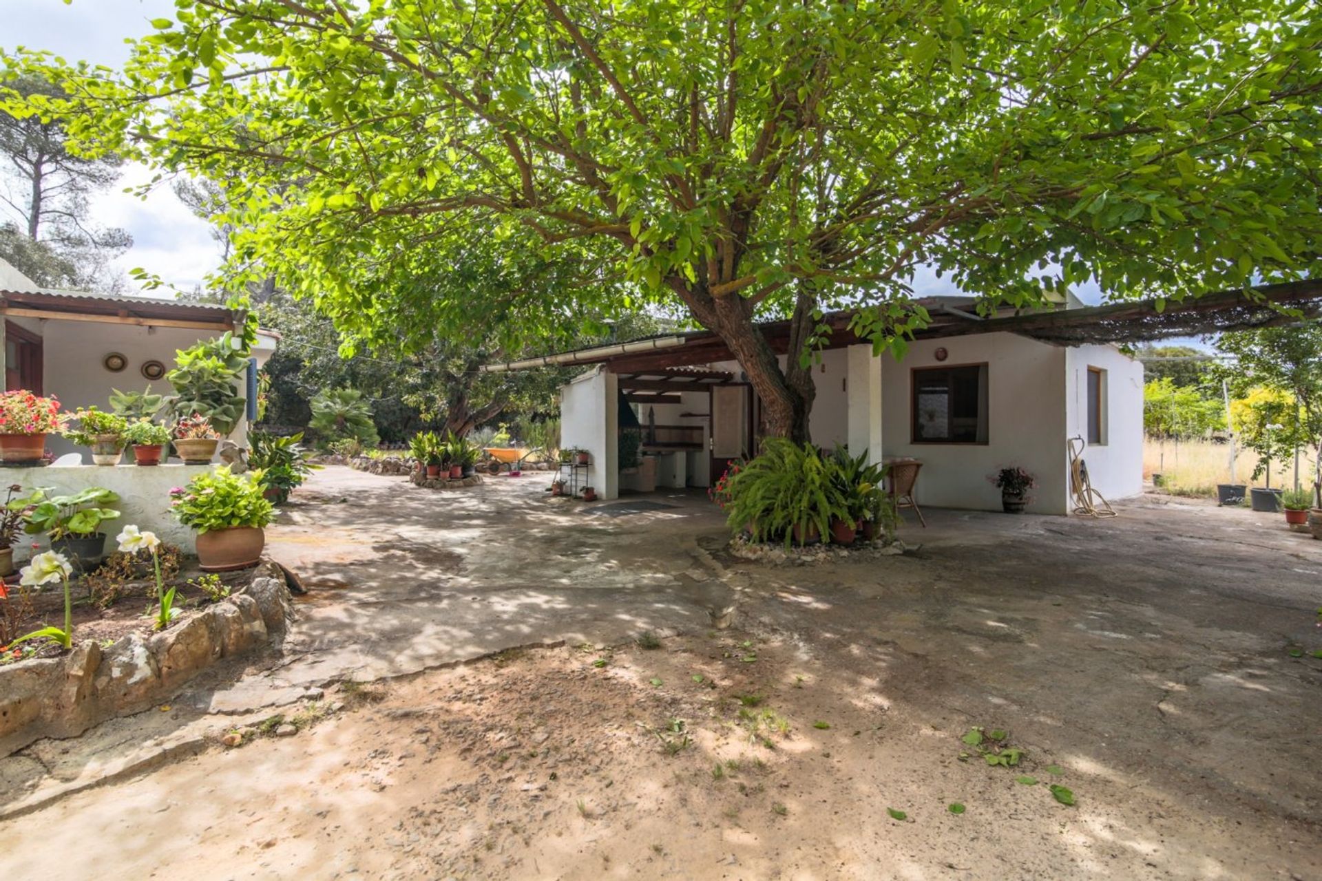 loger dans Capdepera, les Îles Baléares 11074839