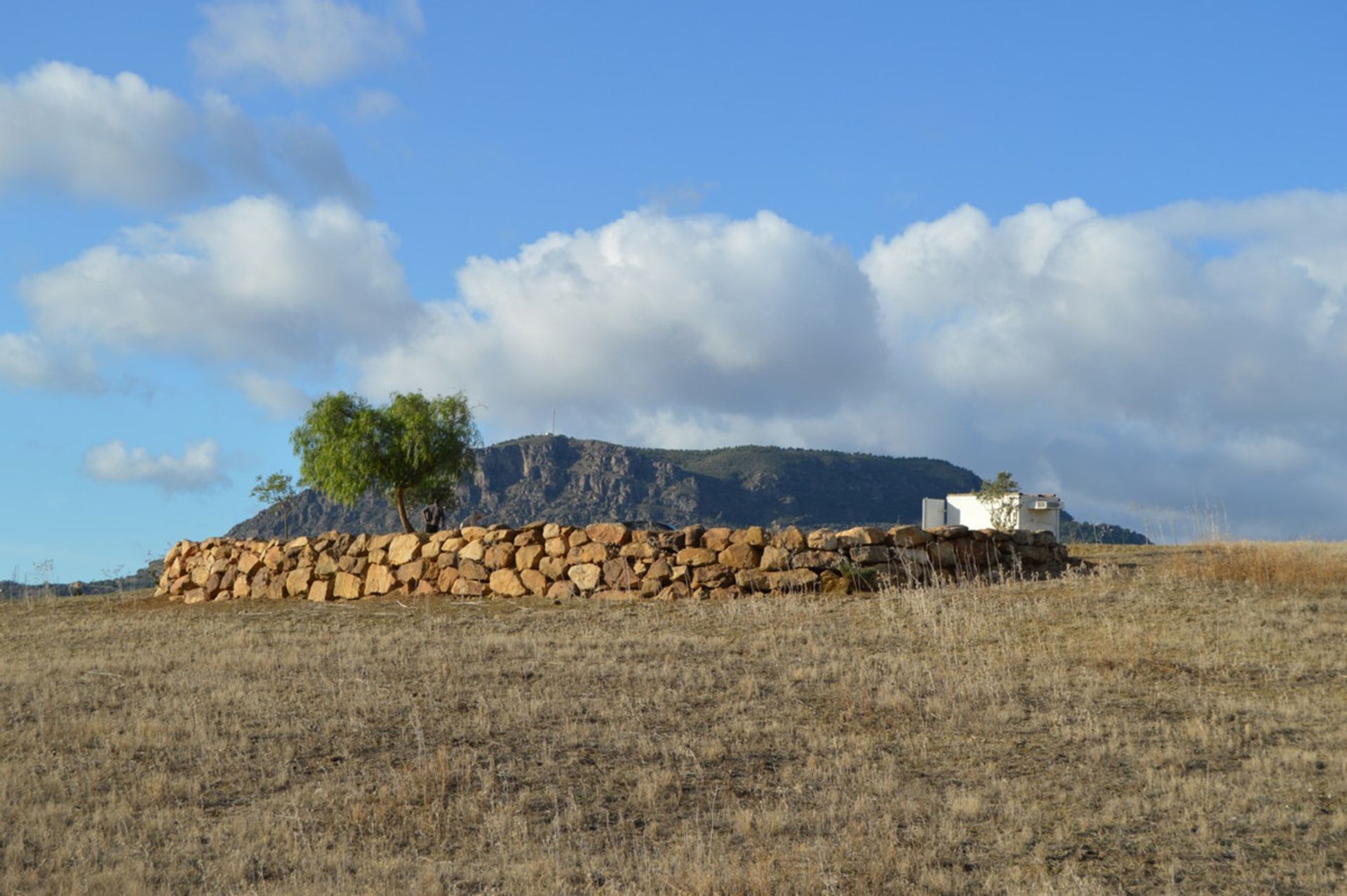 Terre dans Carratraça, Andalousie 11074844