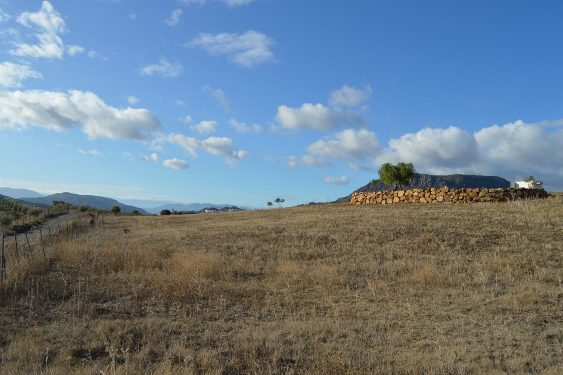 Terre dans Carratraça, Andalousie 11074844