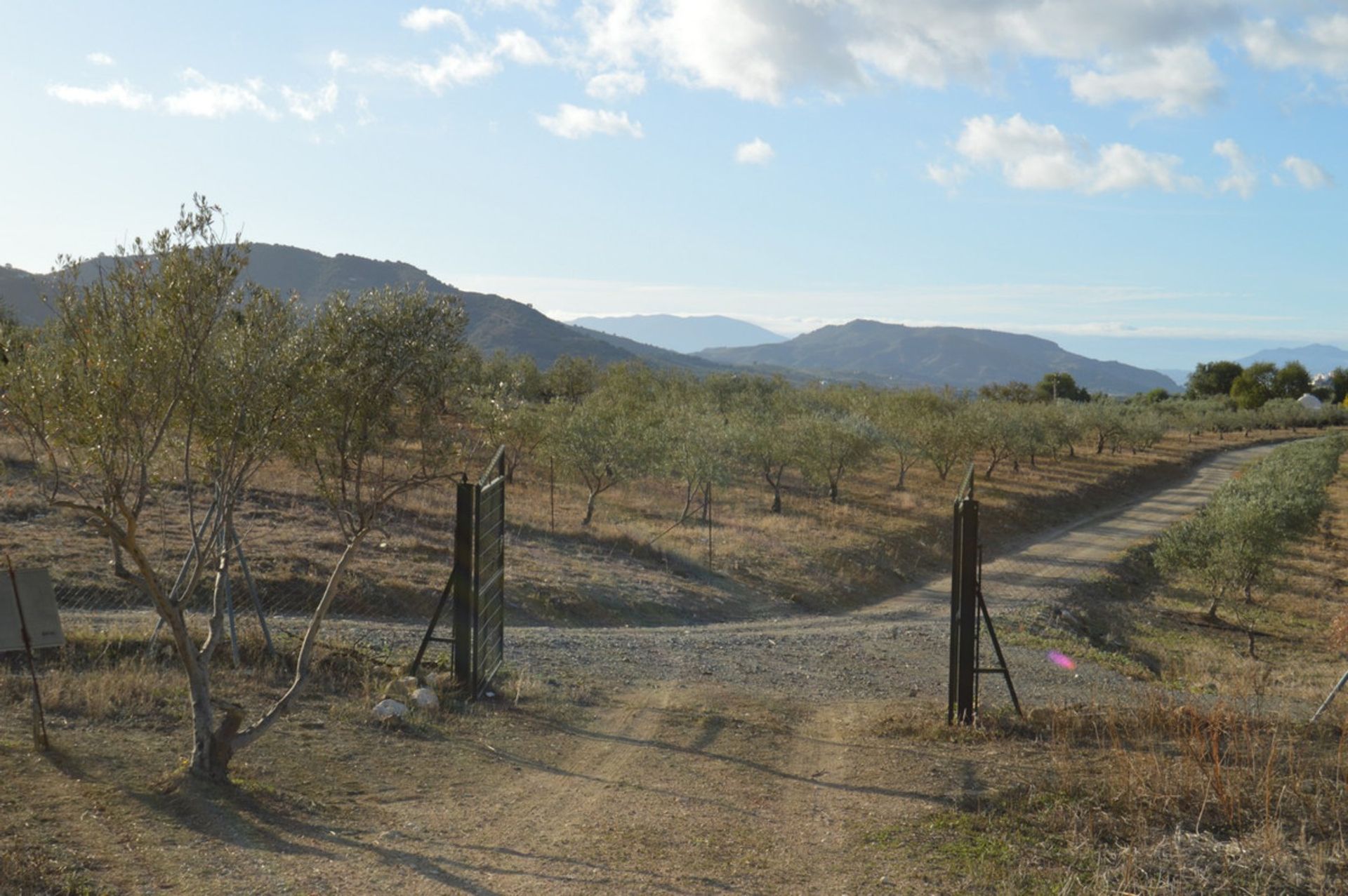 Terre dans Álora, Andalucía 11074844