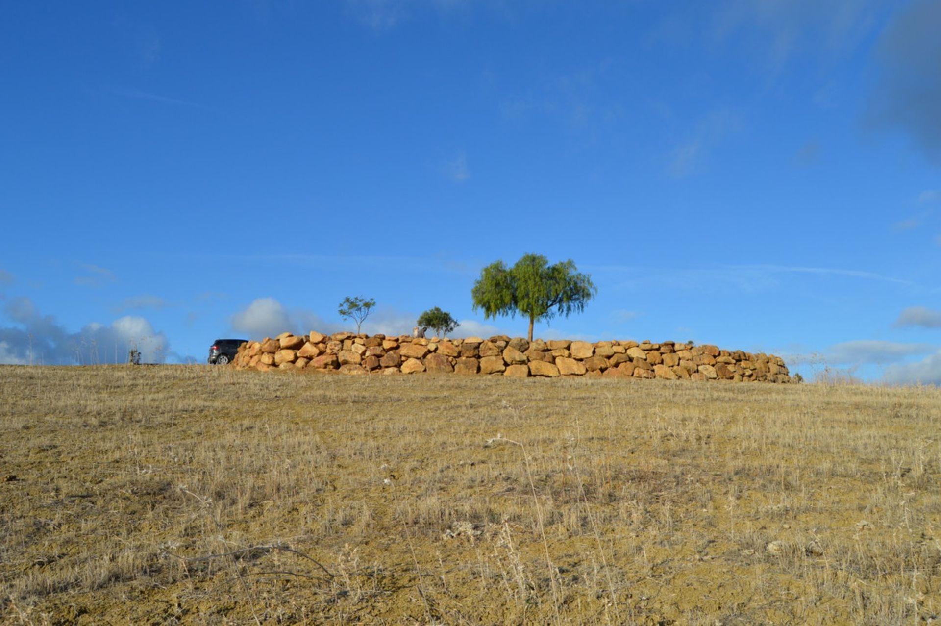 Terre dans Carratraça, Andalousie 11074844