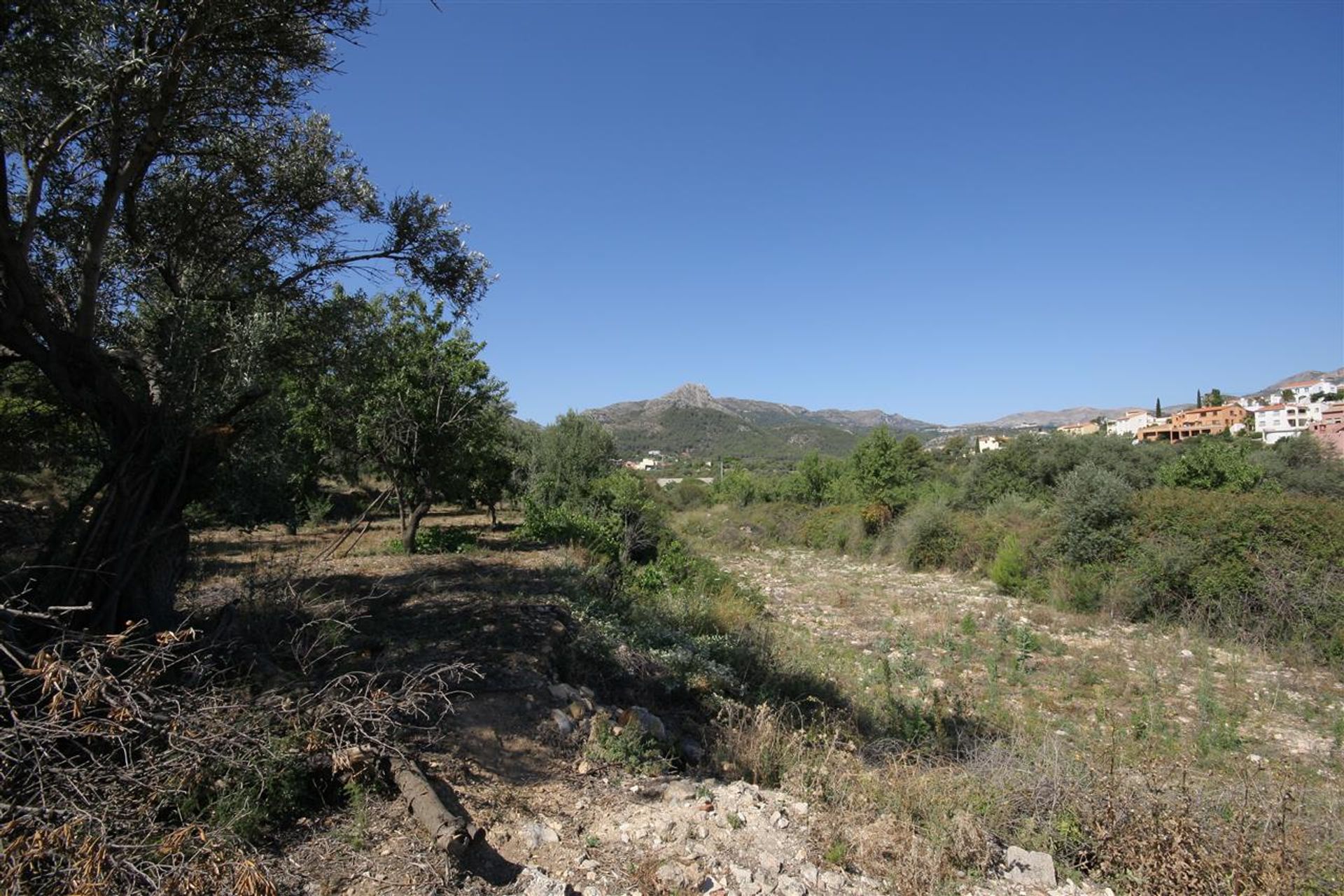 Land in Tormos, Valencia 11074983