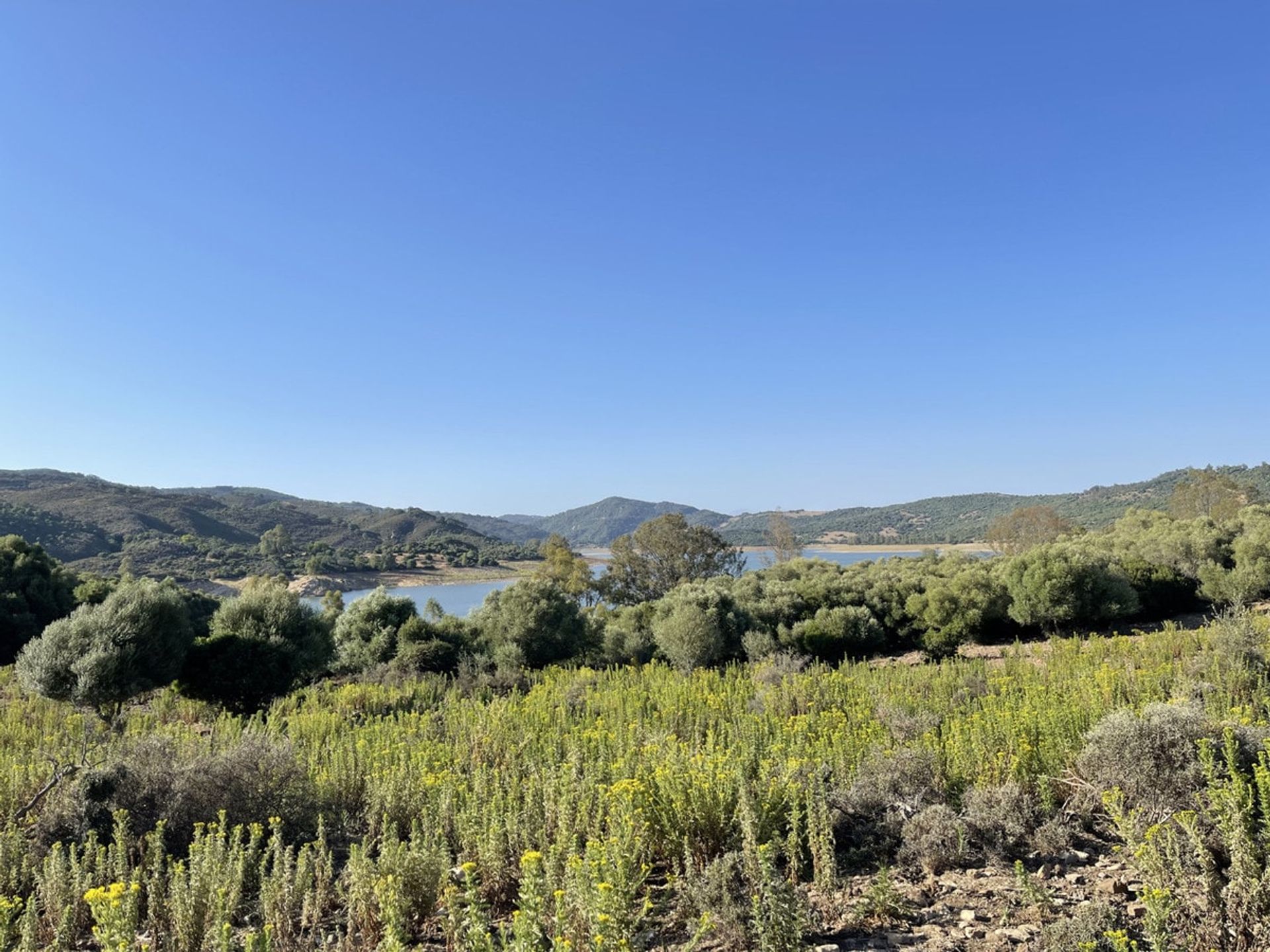 loger dans Castellar de la Frontera, Andalucía 11074999